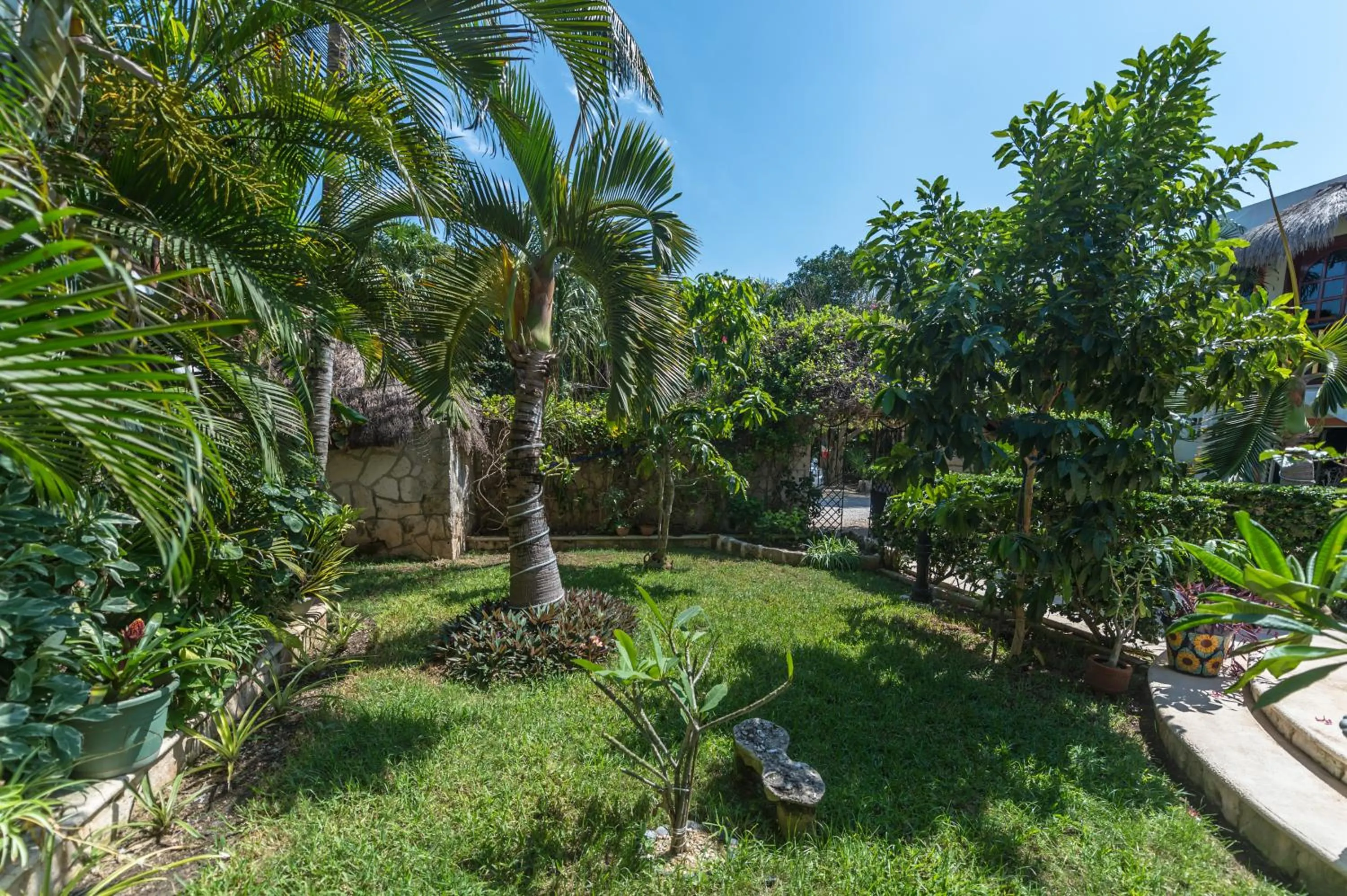 Garden in Casa Gatos