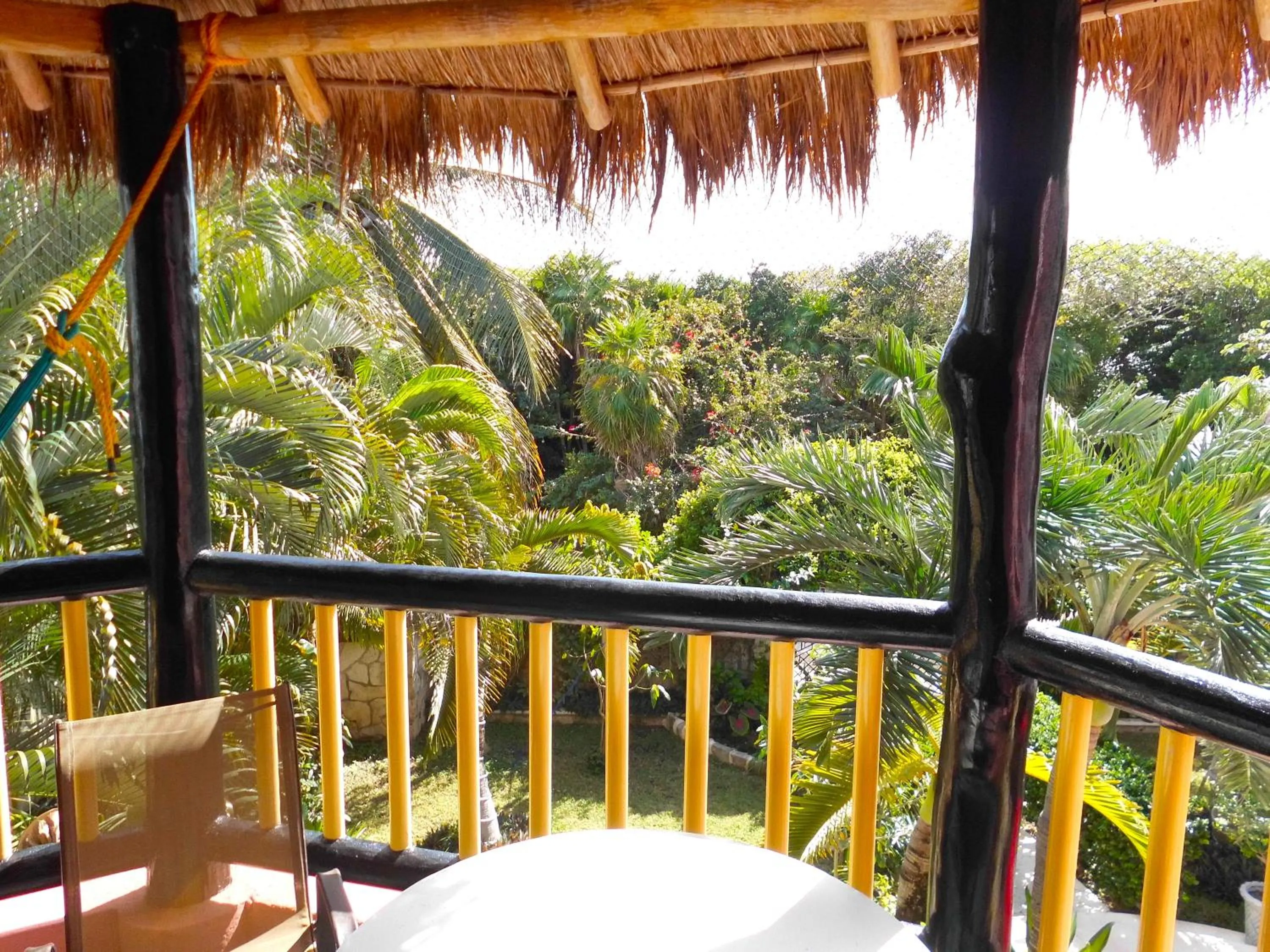 Natural landscape in Casa Gatos