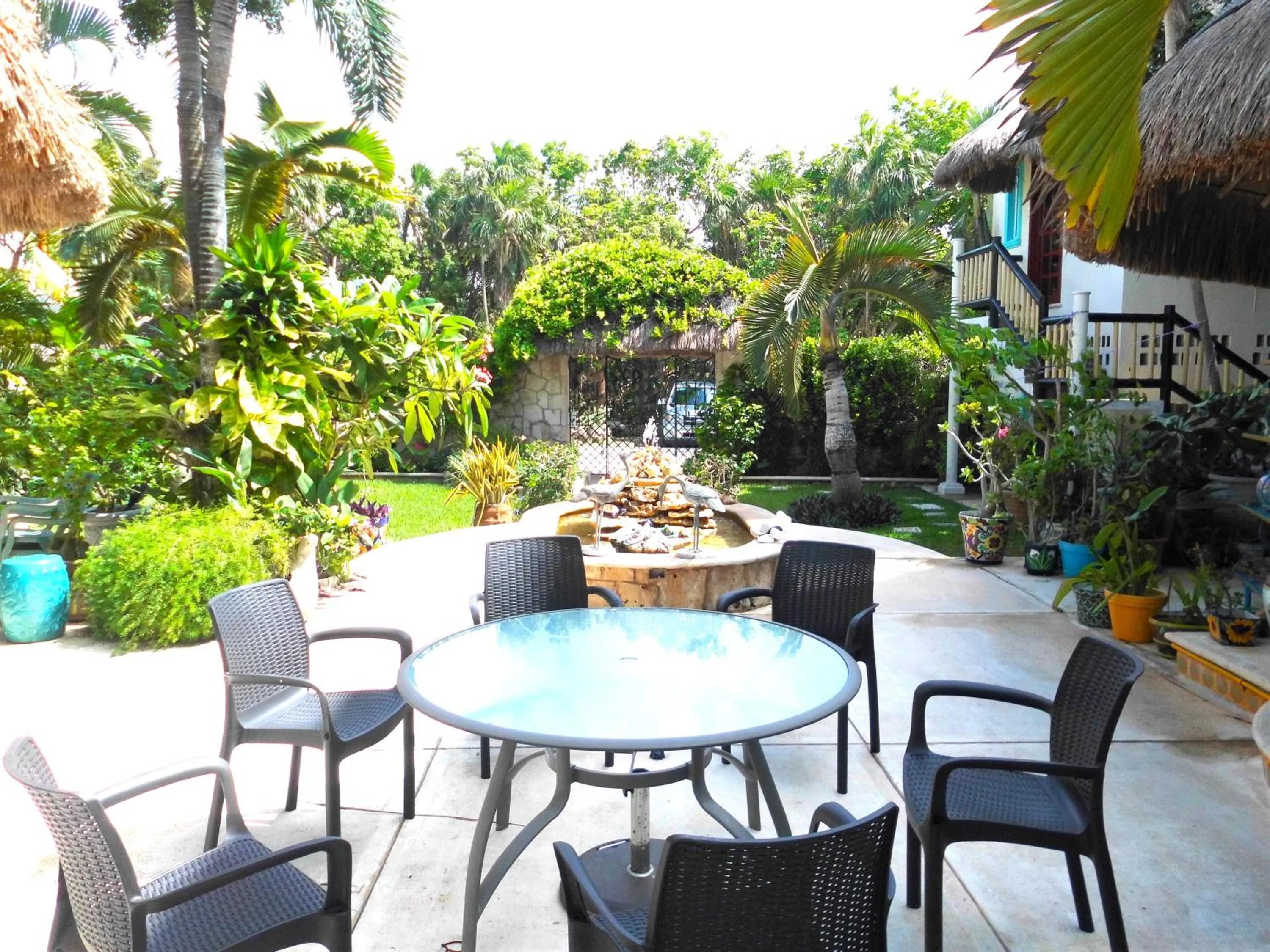 Patio in Casa Gatos