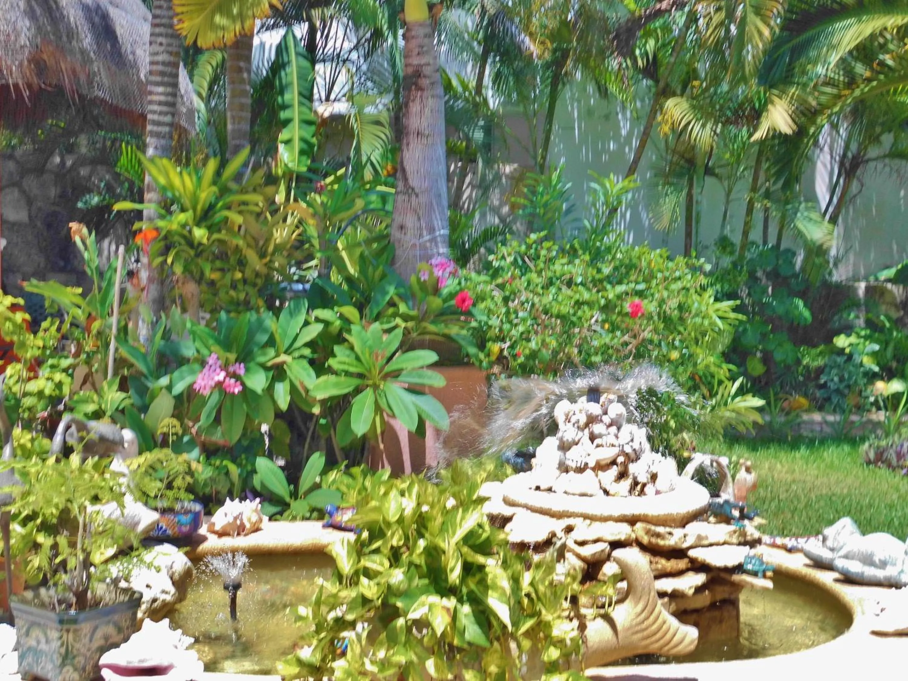 Garden in Casa Gatos