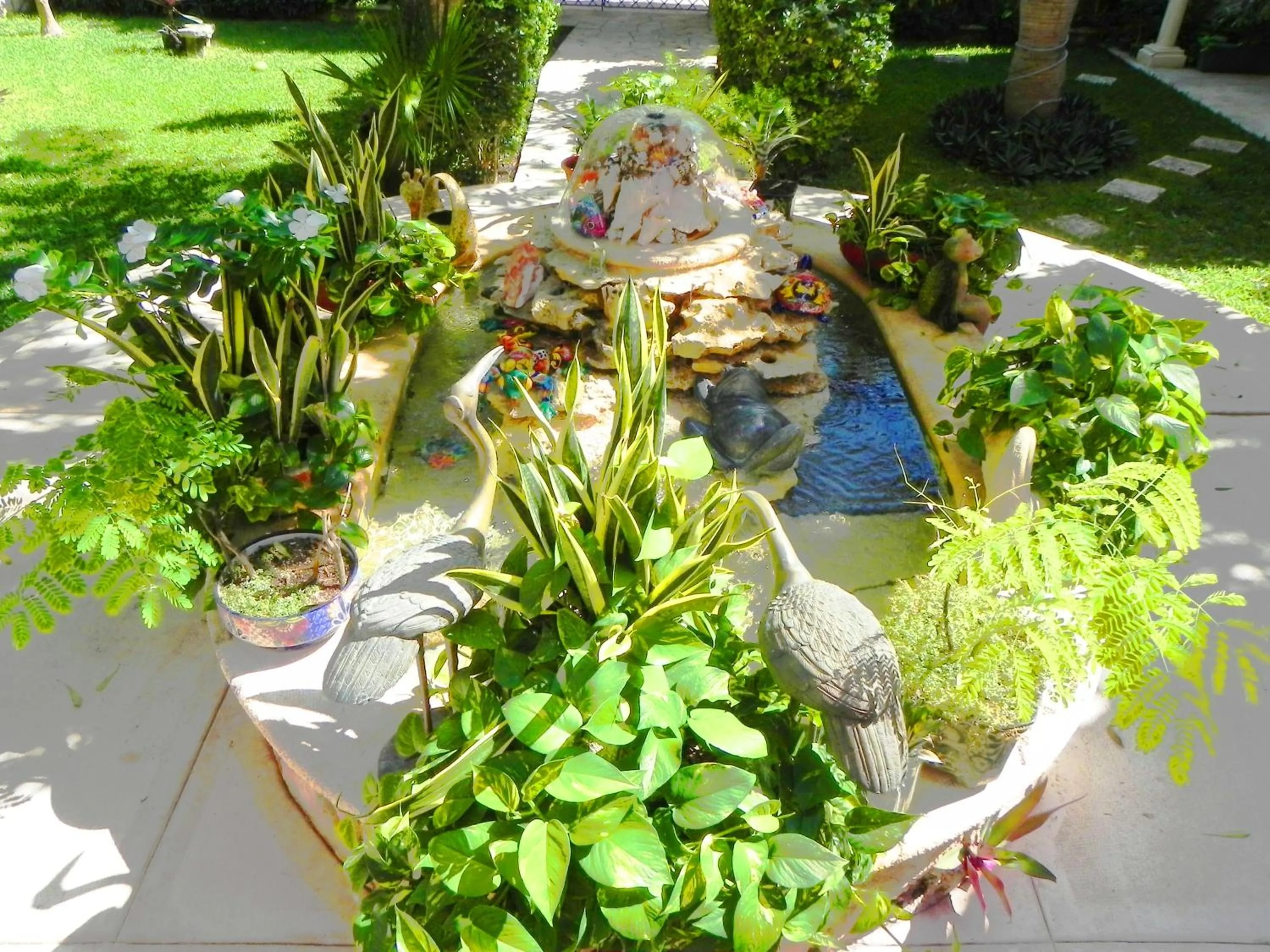 Garden in Casa Gatos