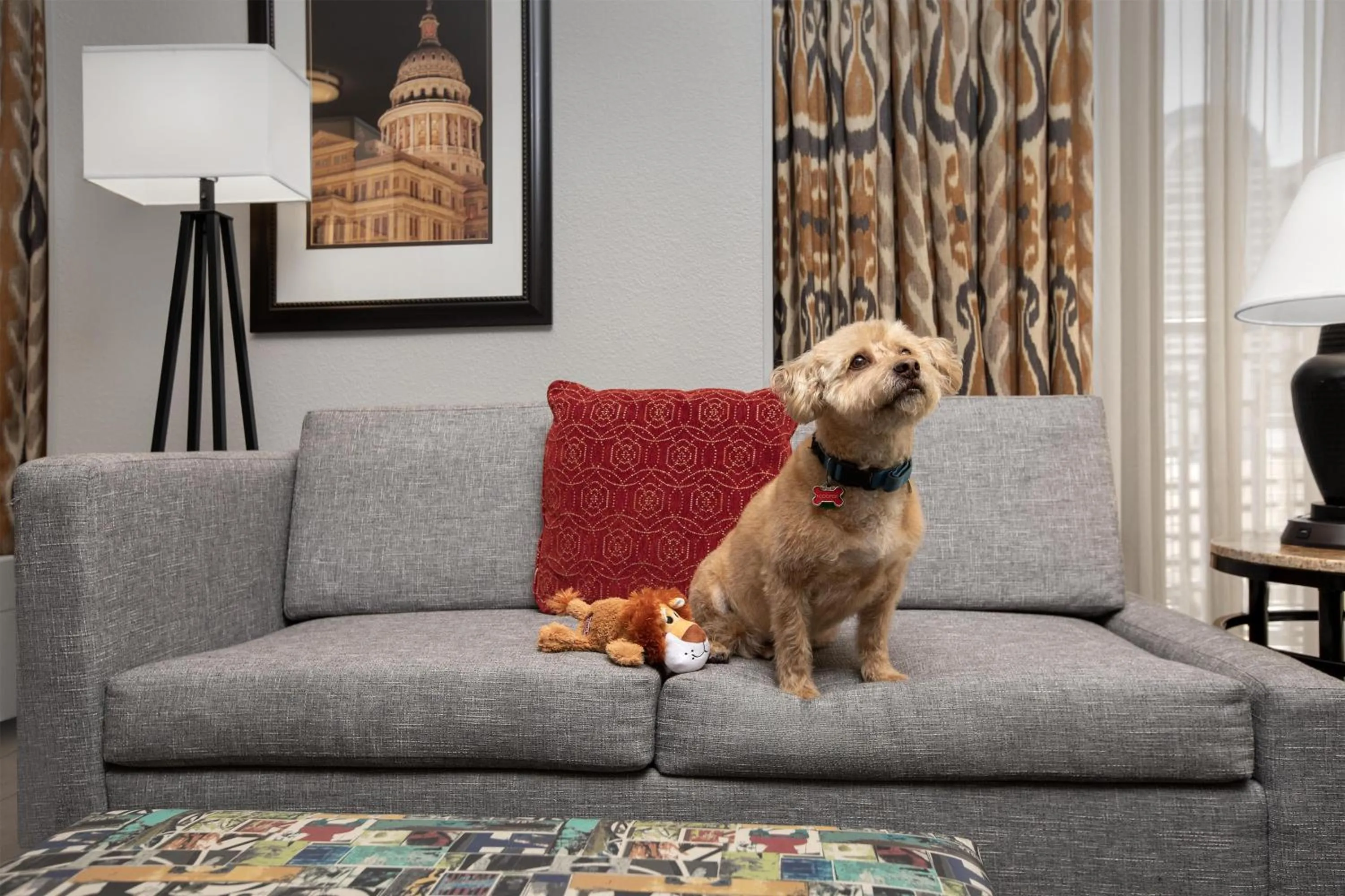 Photo of the whole room in Hampton Inn and Suites Austin University Capitol