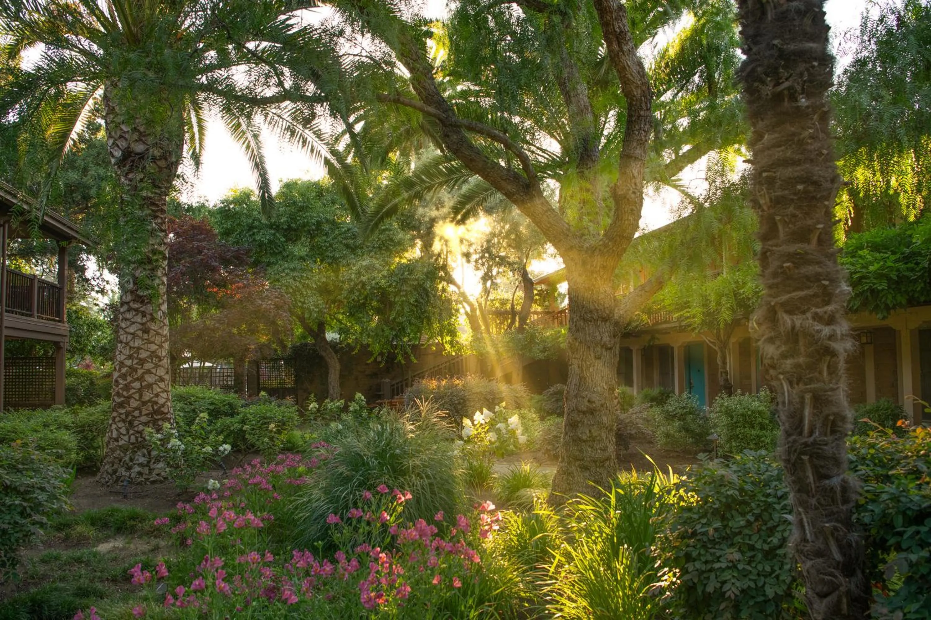 Inner courtyard view in El Pueblo Inn