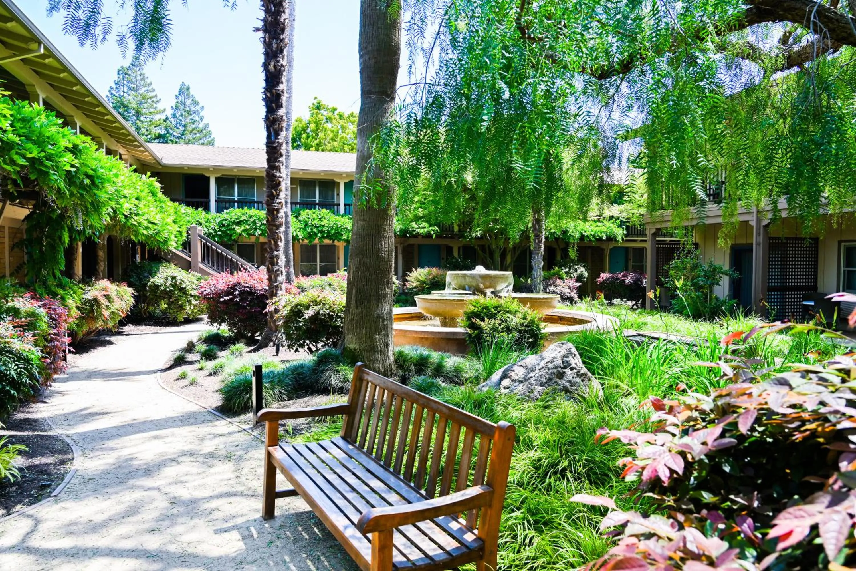 Garden in El Pueblo Inn