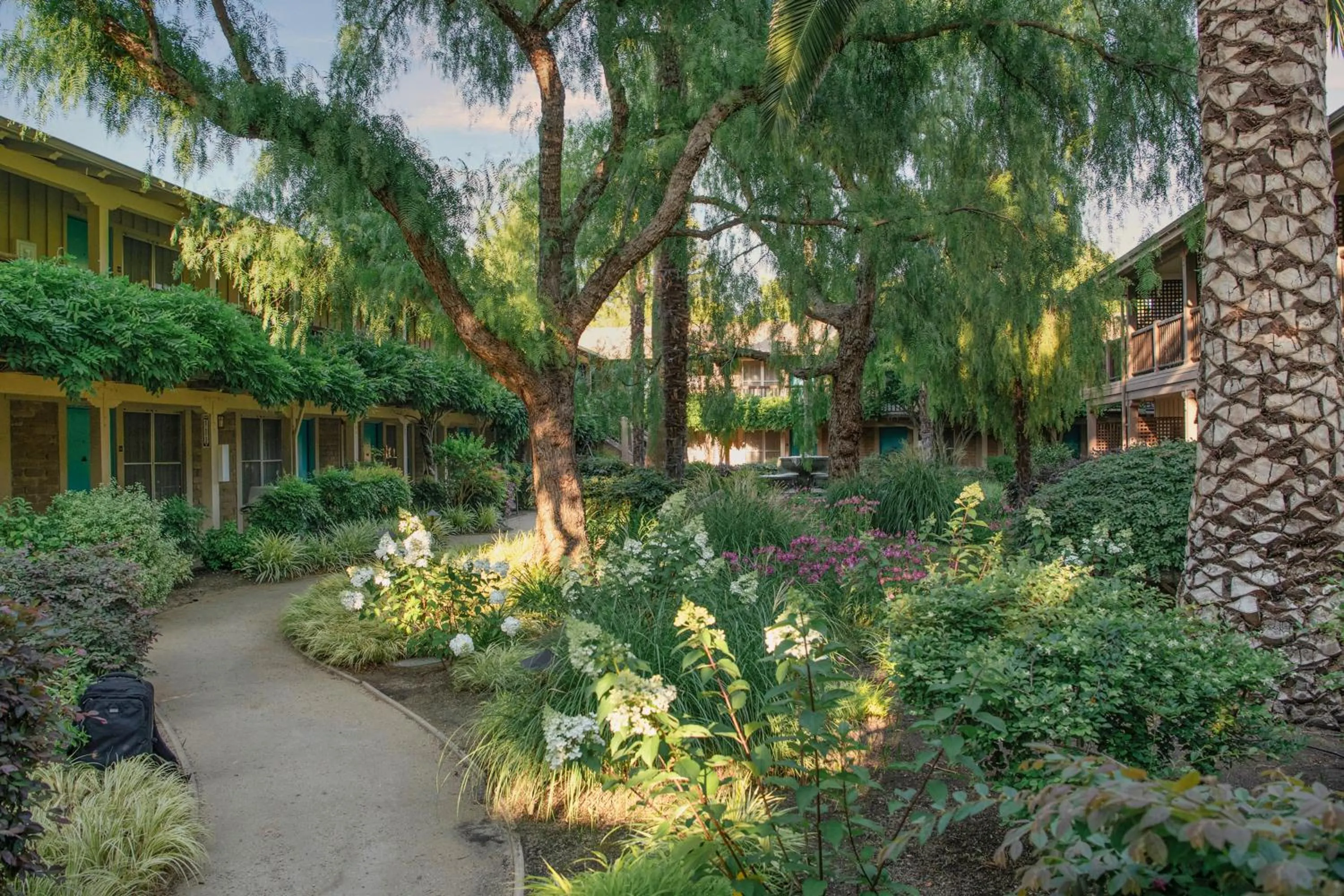 Inner courtyard view in El Pueblo Inn