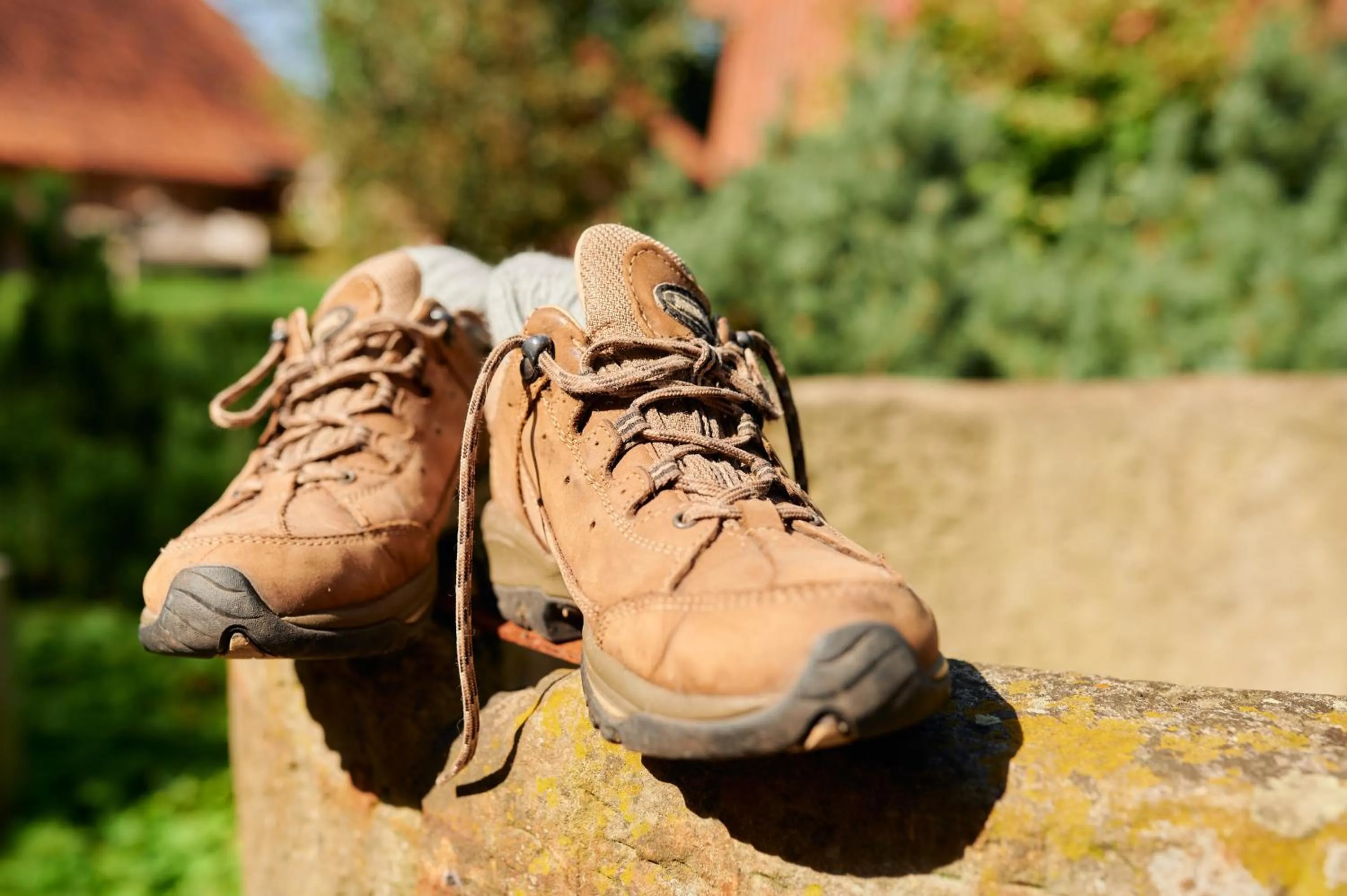 Garden in Nordenholzer Hofhotel