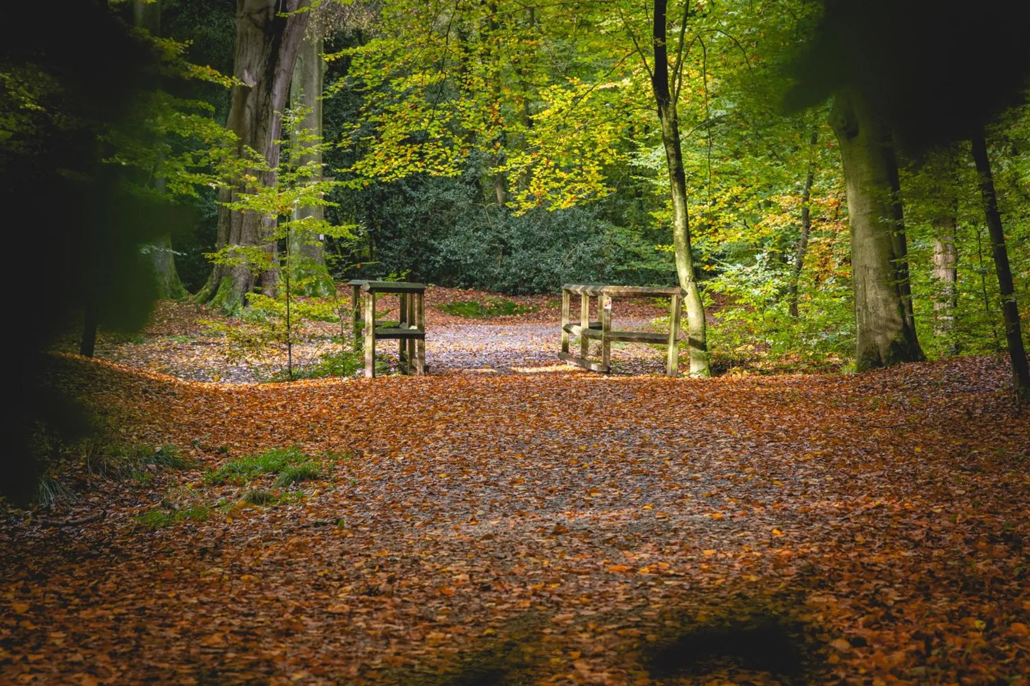 Hiking in Nordenholzer Hofhotel