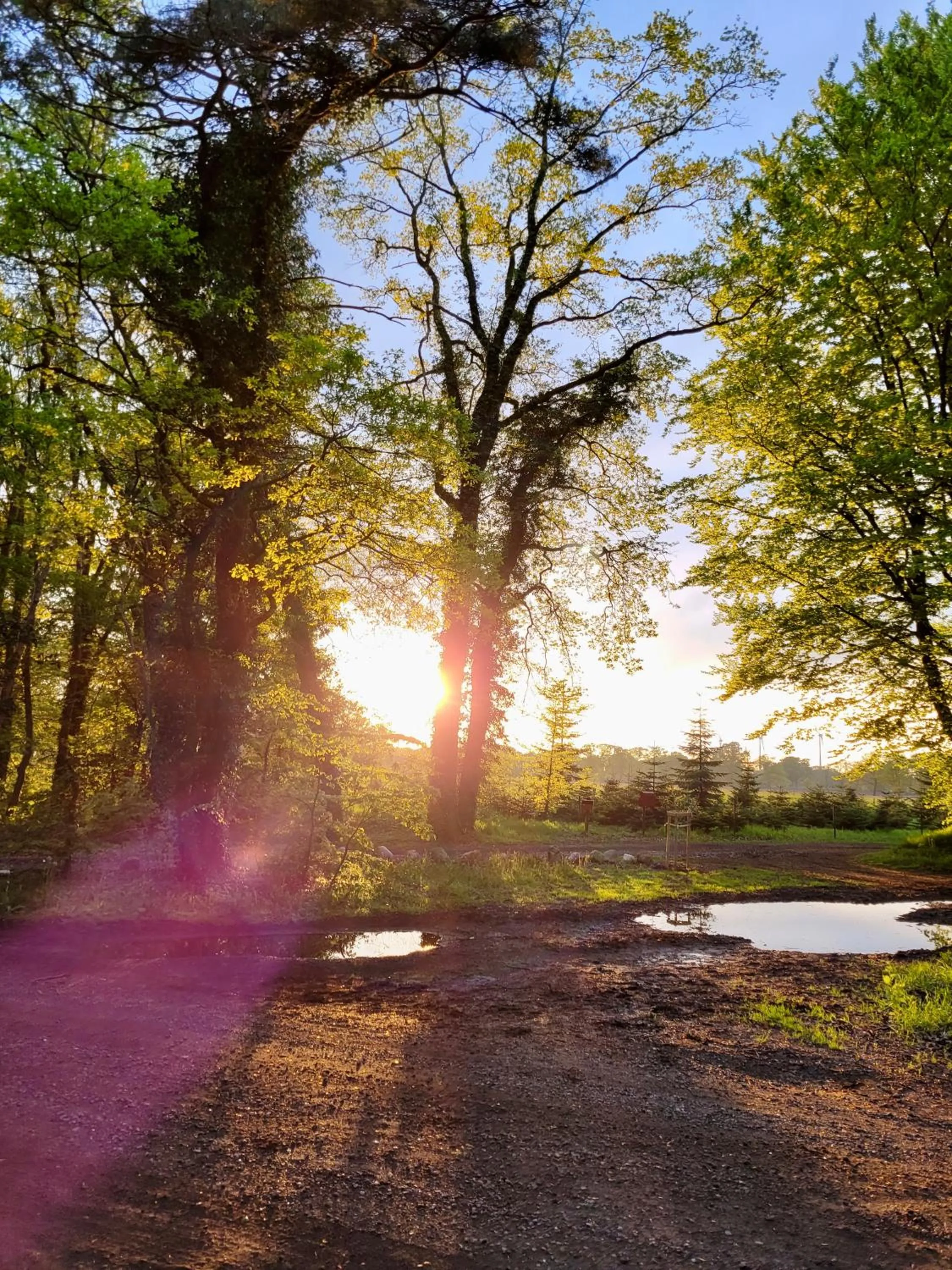 Hiking in Nordenholzer Hofhotel