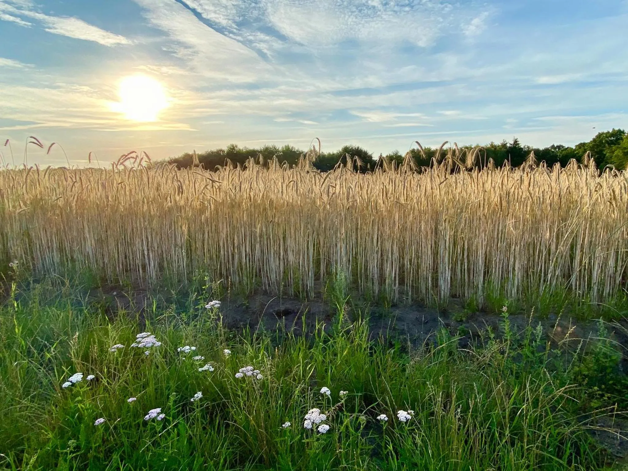 Hiking in Nordenholzer Hofhotel