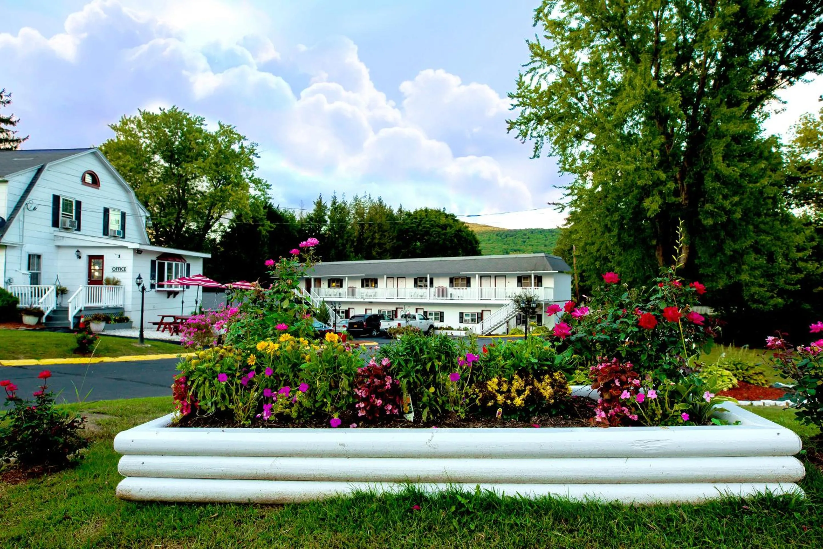 Property building in Willows Motel