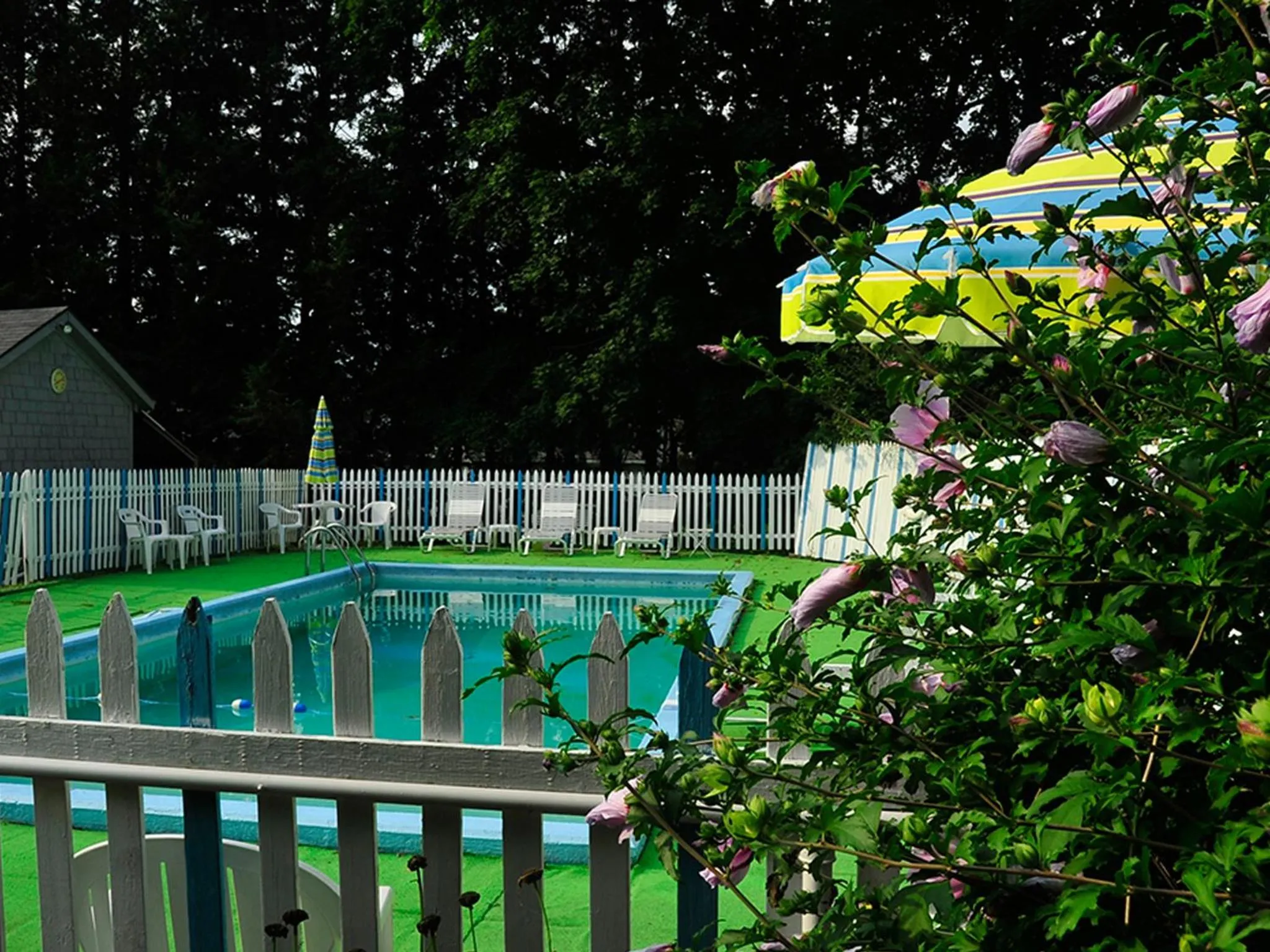 Day in Willows Motel