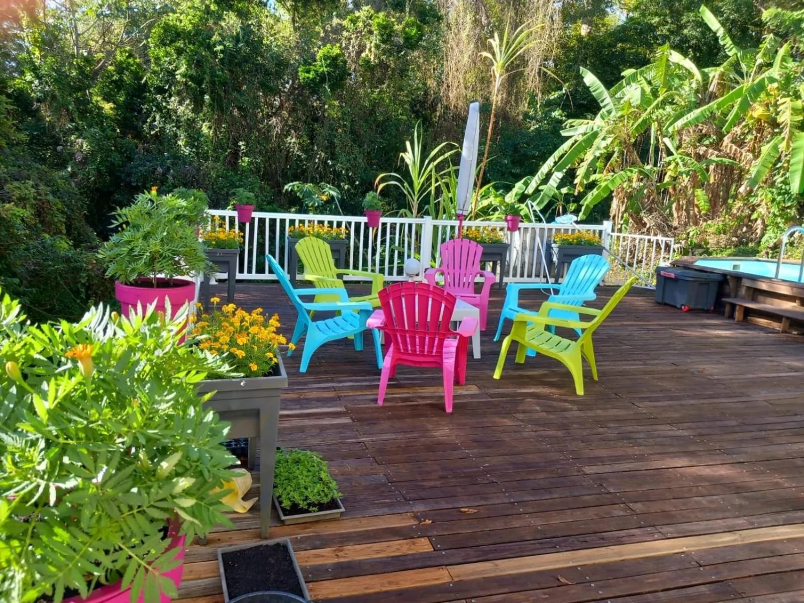 Havre de paix à Fort de France