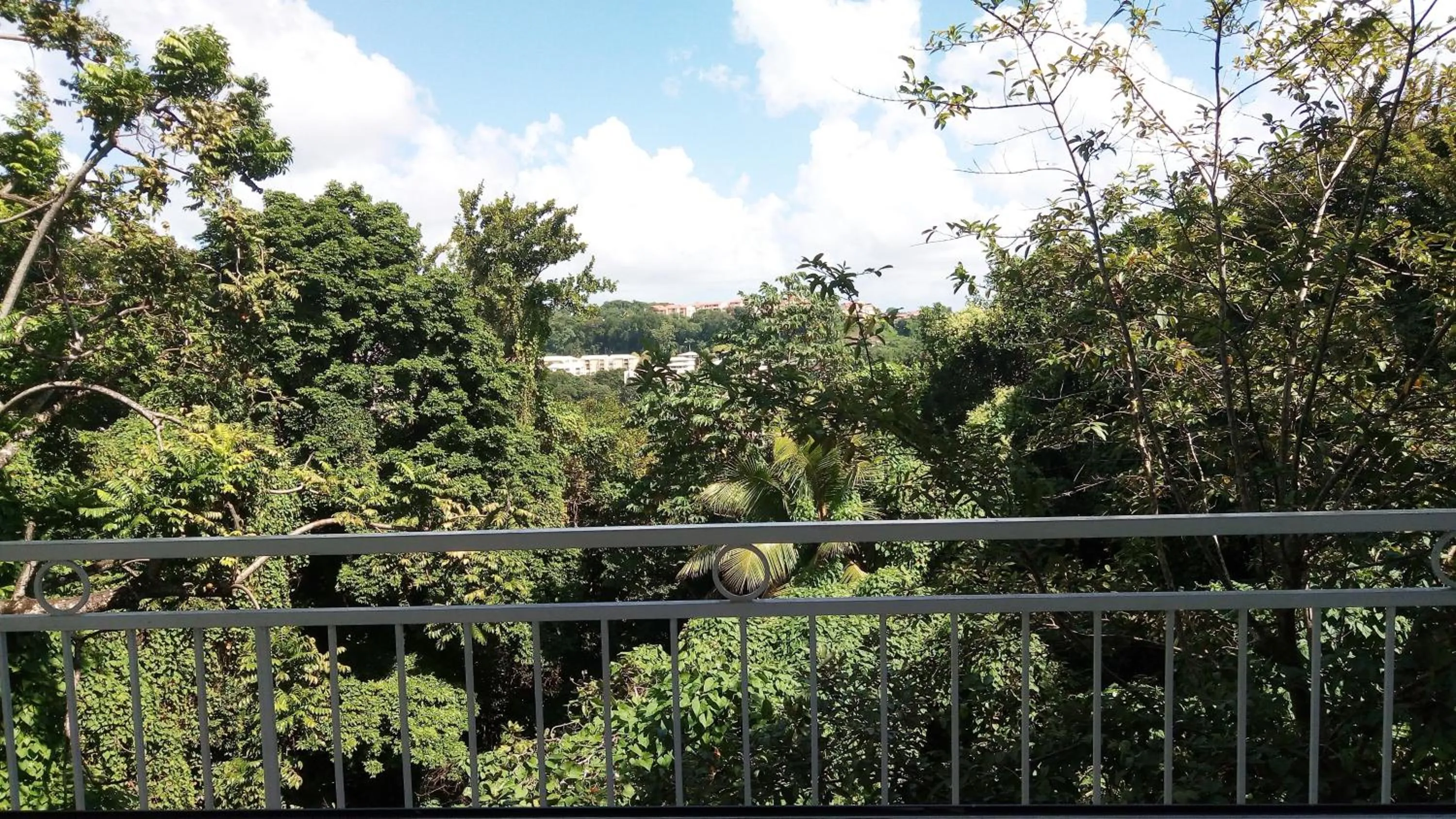 Garden view in Havre de paix à Fort de France