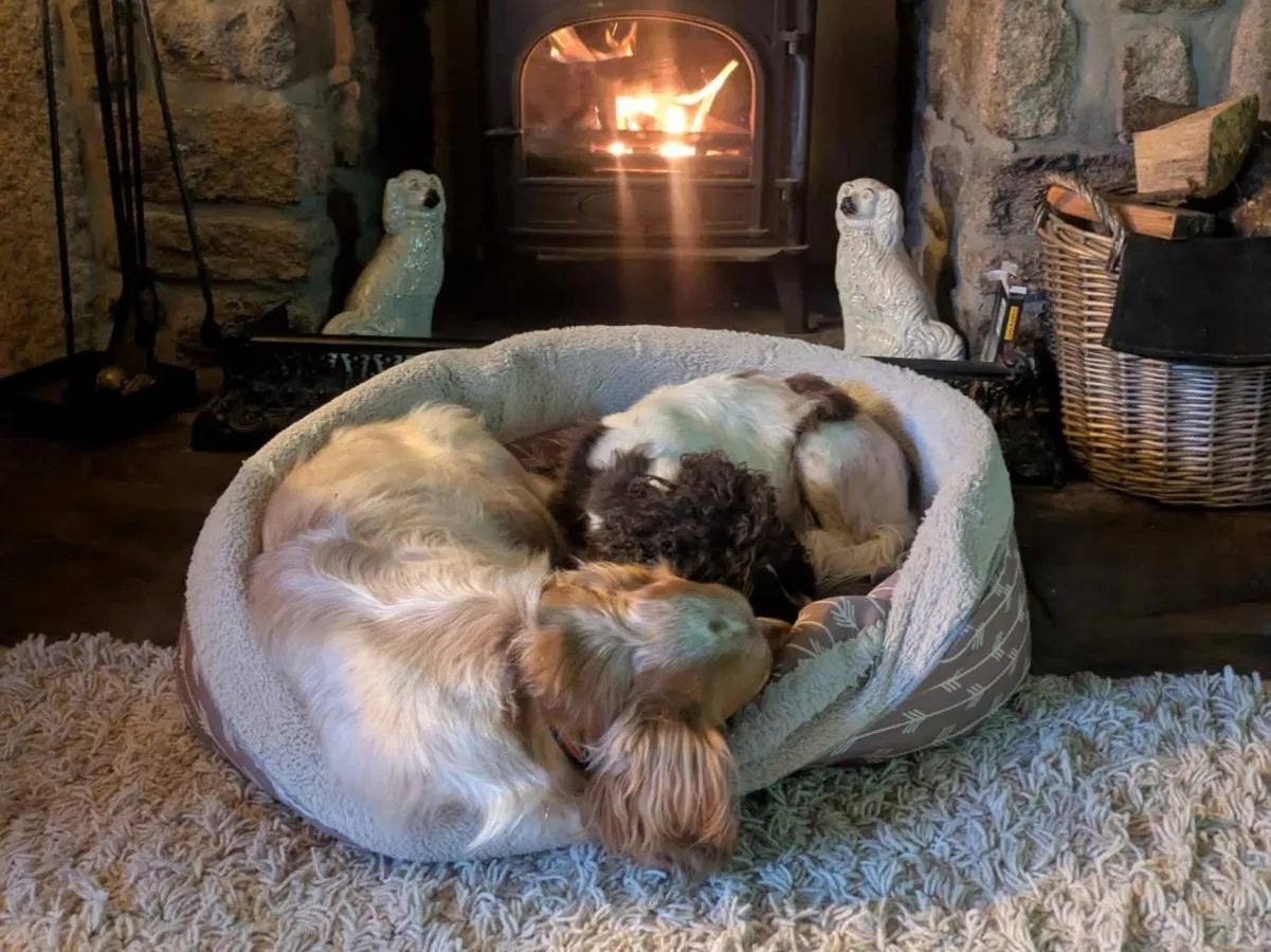 Pets in The Millers Cottage