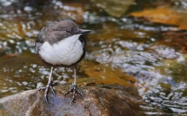 Natural landscape in The Millers Cottage