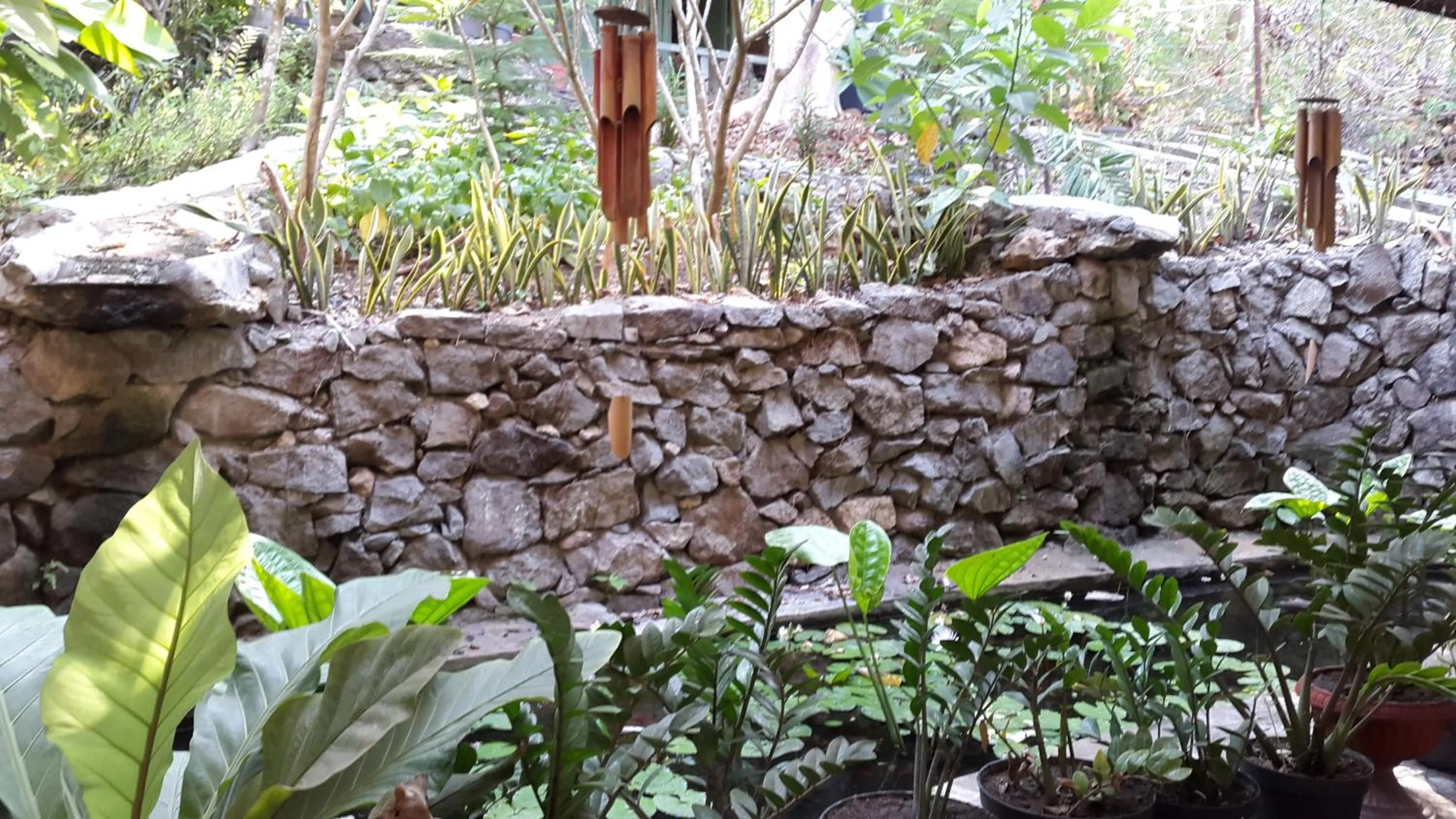 Centro Bajo Hotel & Resto