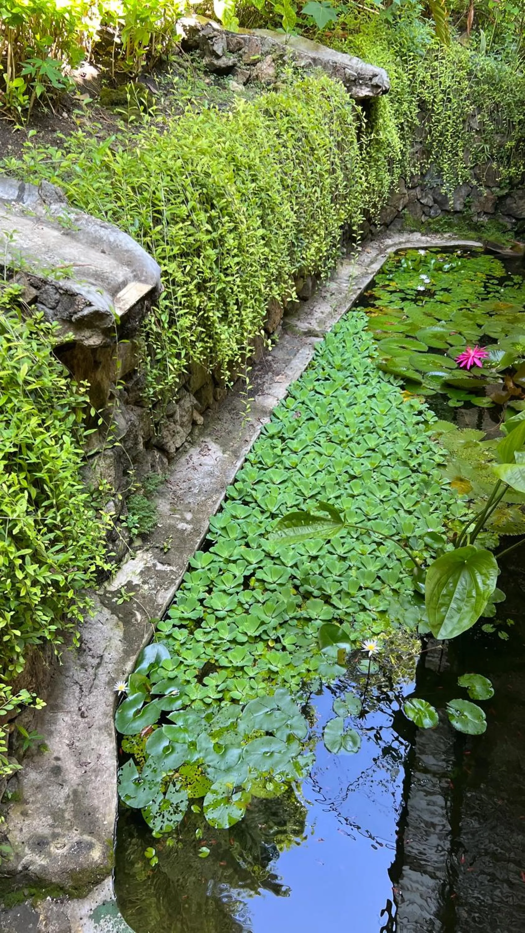 Centro Bajo Hotel & Resto