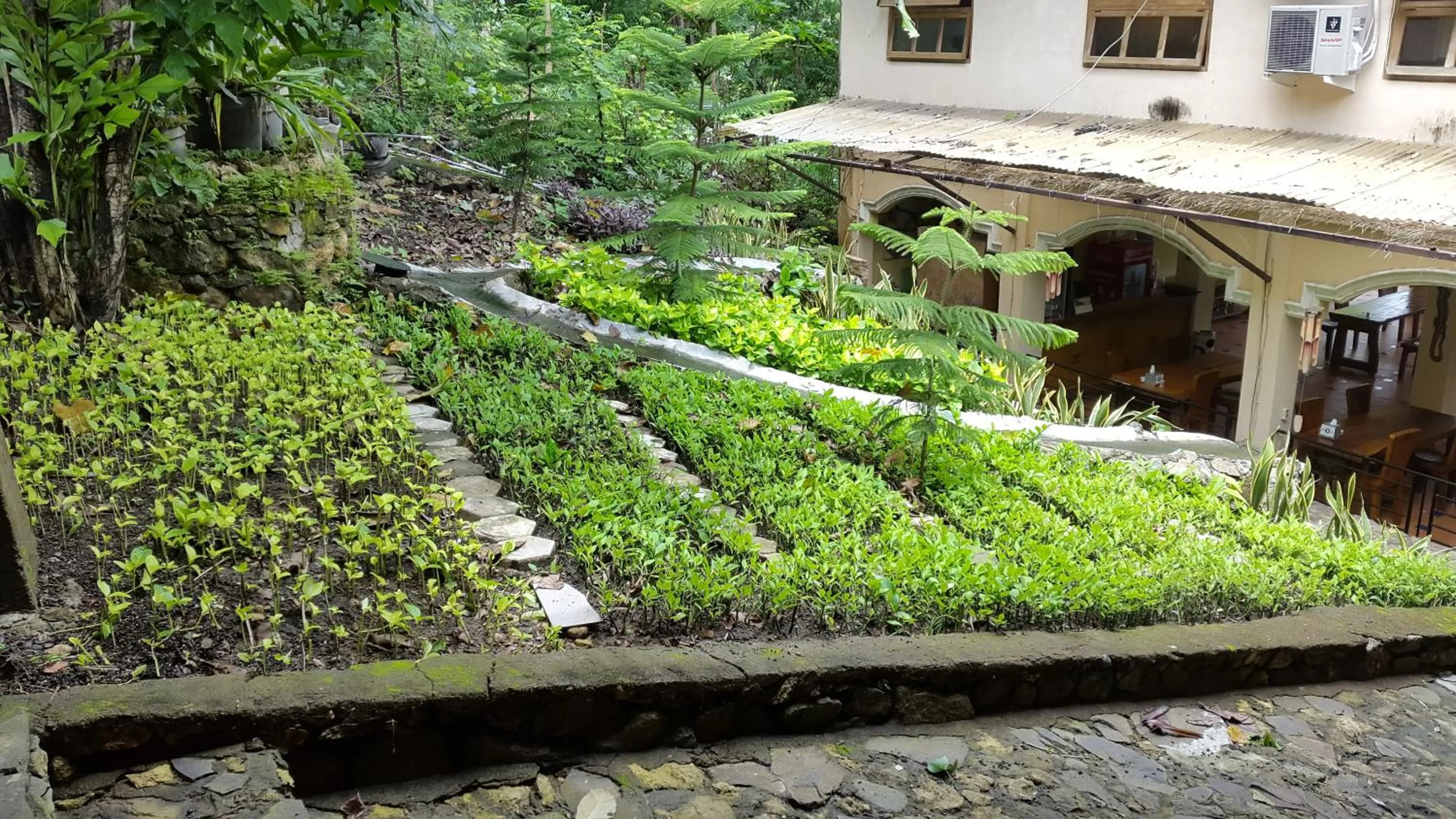 Centro Bajo Hotel & Resto