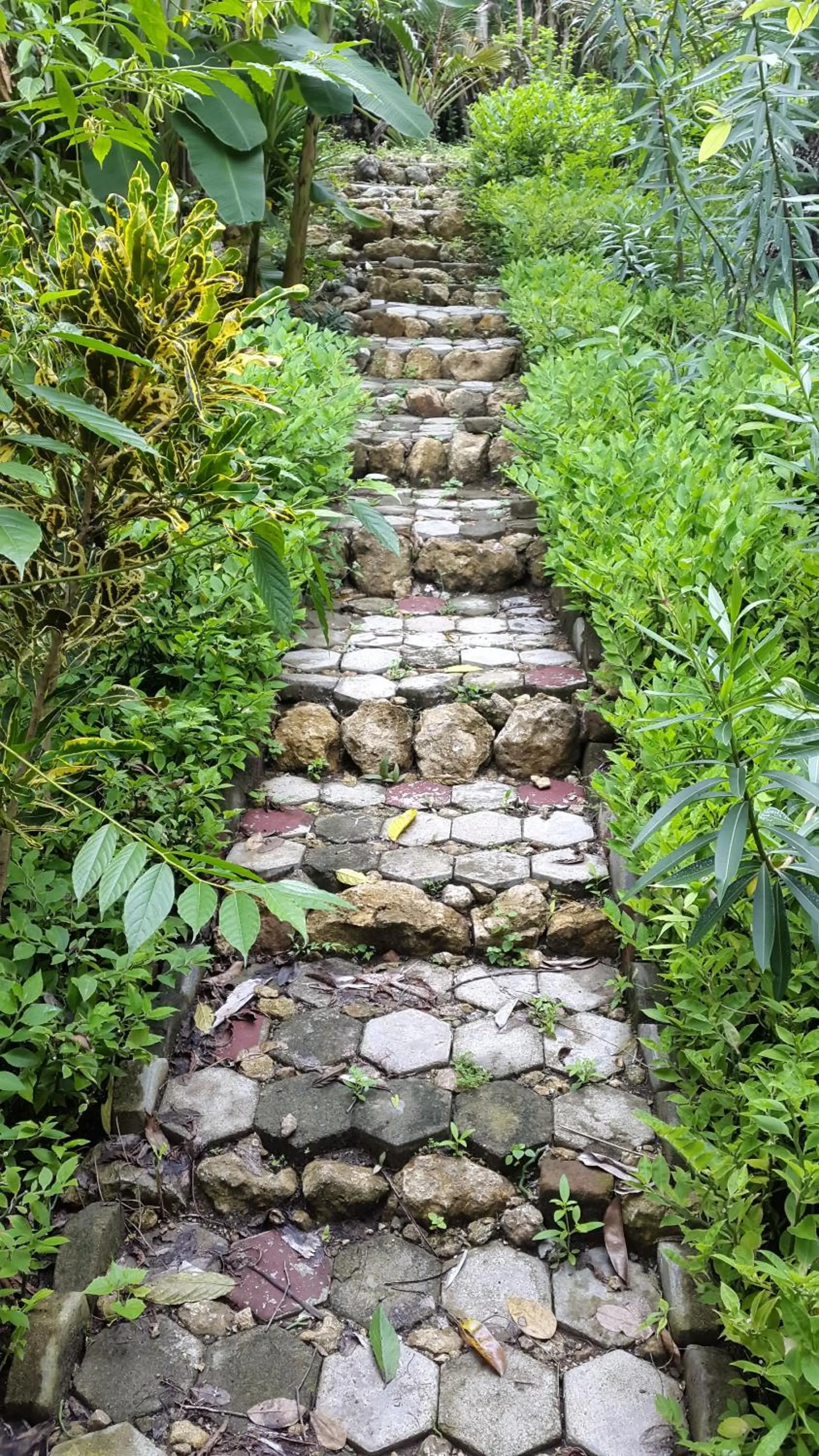 Centro Bajo Hotel & Resto