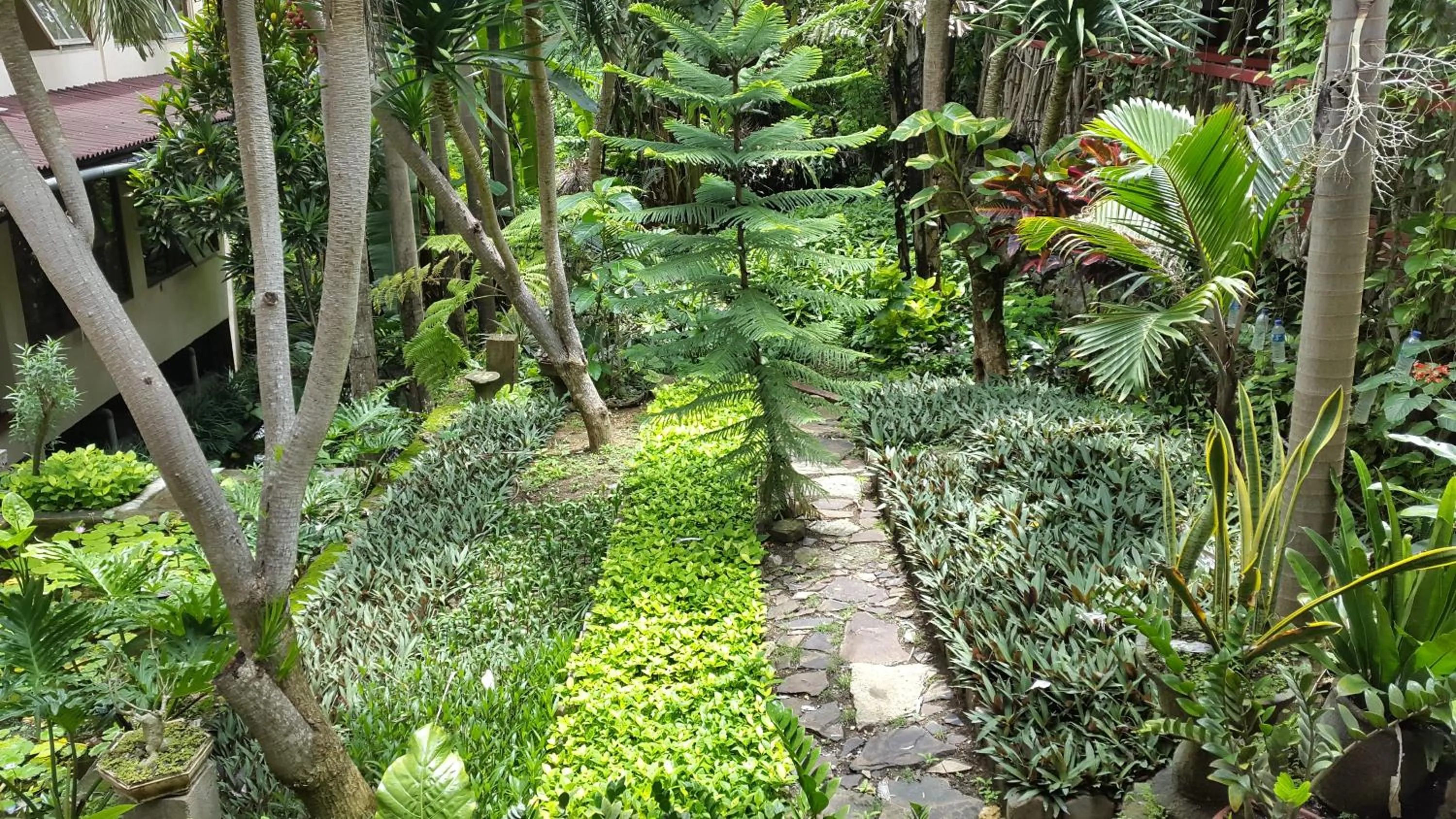 Centro Bajo Hotel & Resto