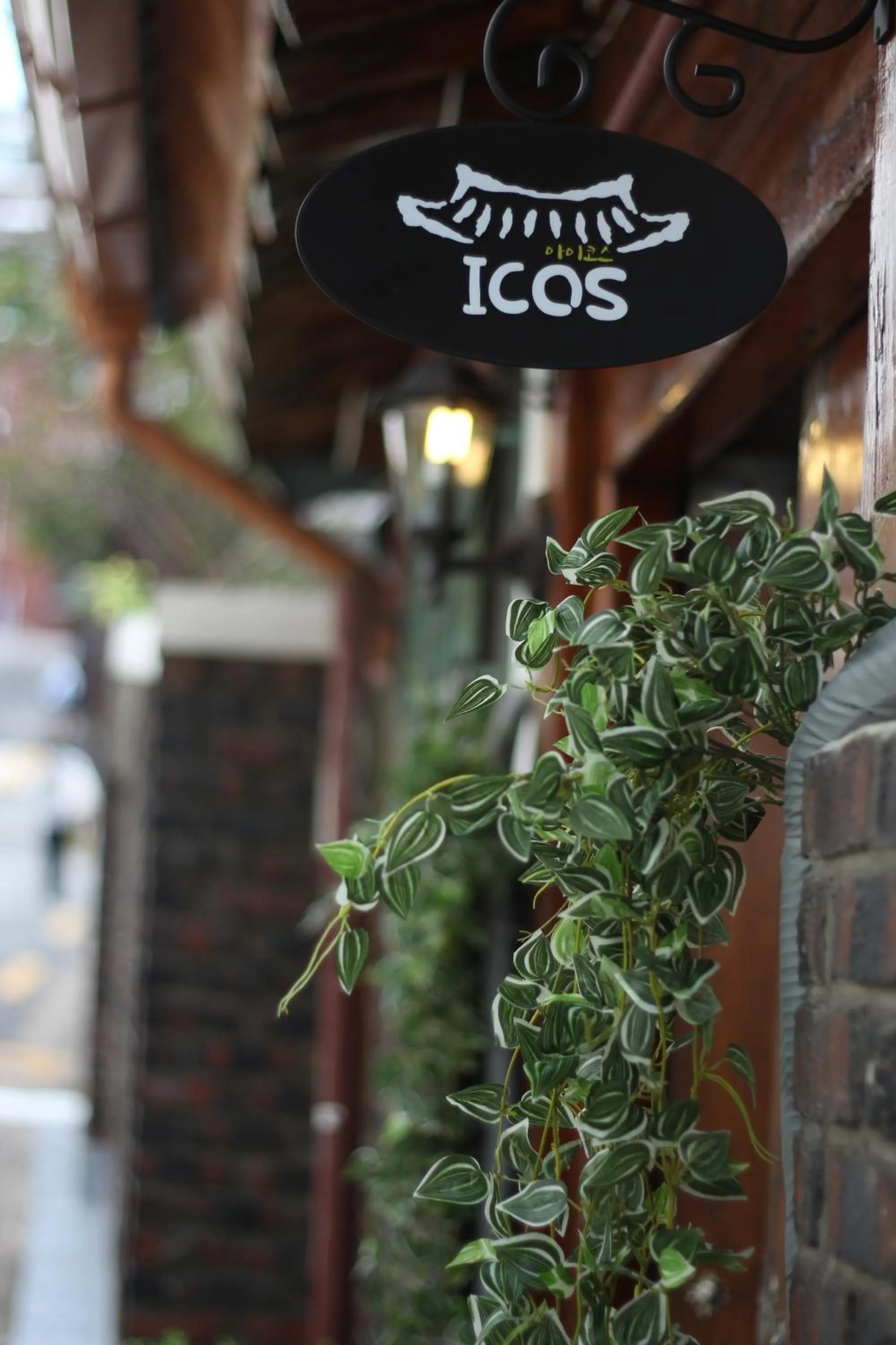 ICOS Guesthouse 1 - Female Only