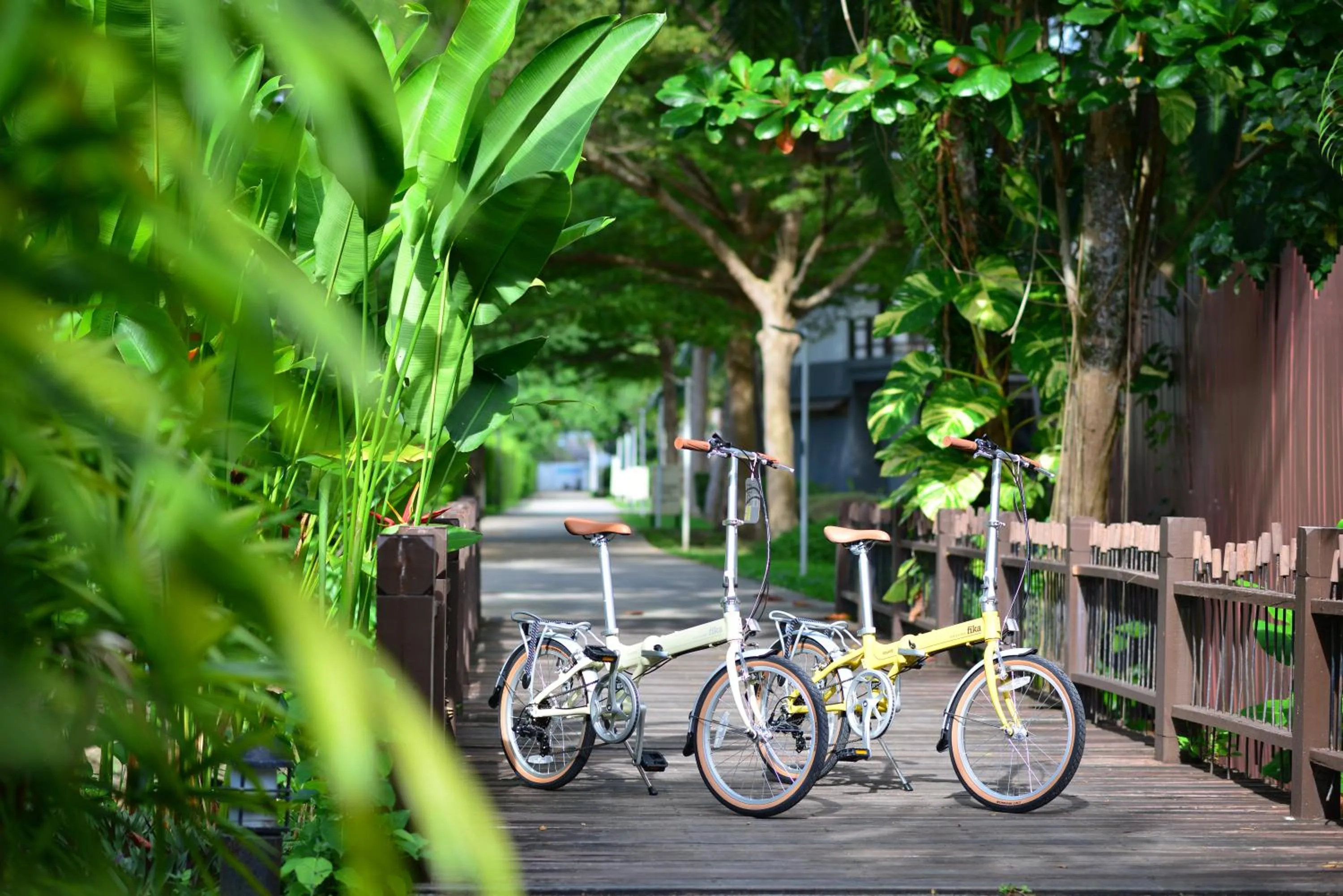 Cycling in Twin Lotus Resort and Spa - SHA Plus - Adult Only "November - April"