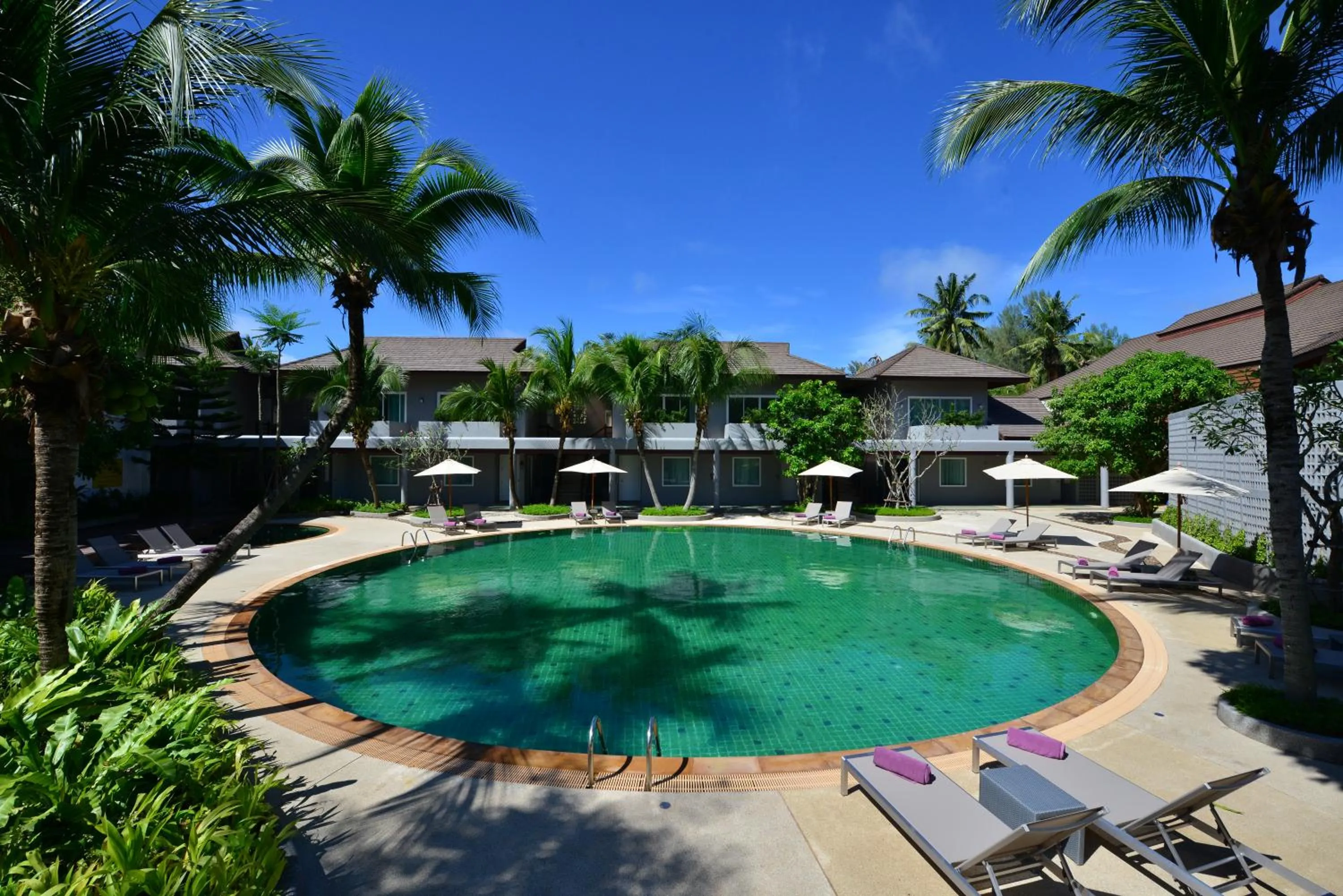 Pool view in Twin Lotus Resort and Spa - SHA Plus - Adult Only "November - April"