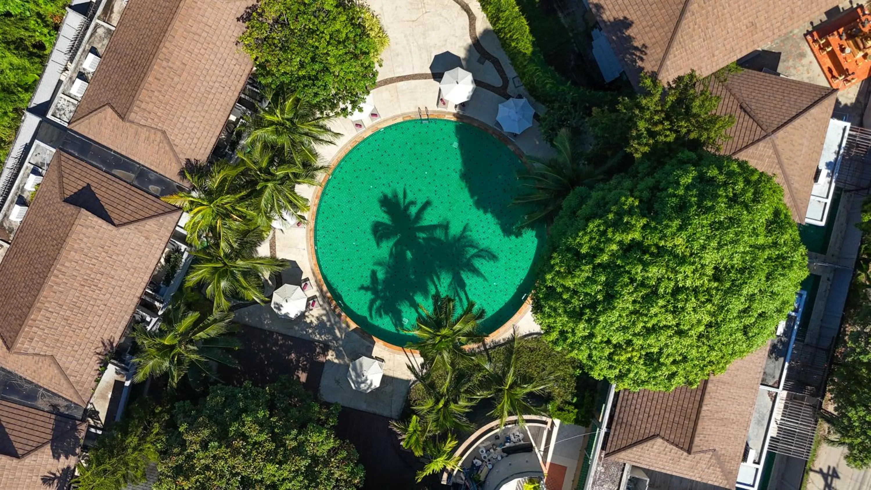 Swimming pool in Twin Lotus Resort and Spa - SHA Plus - Adult Only "November - April"