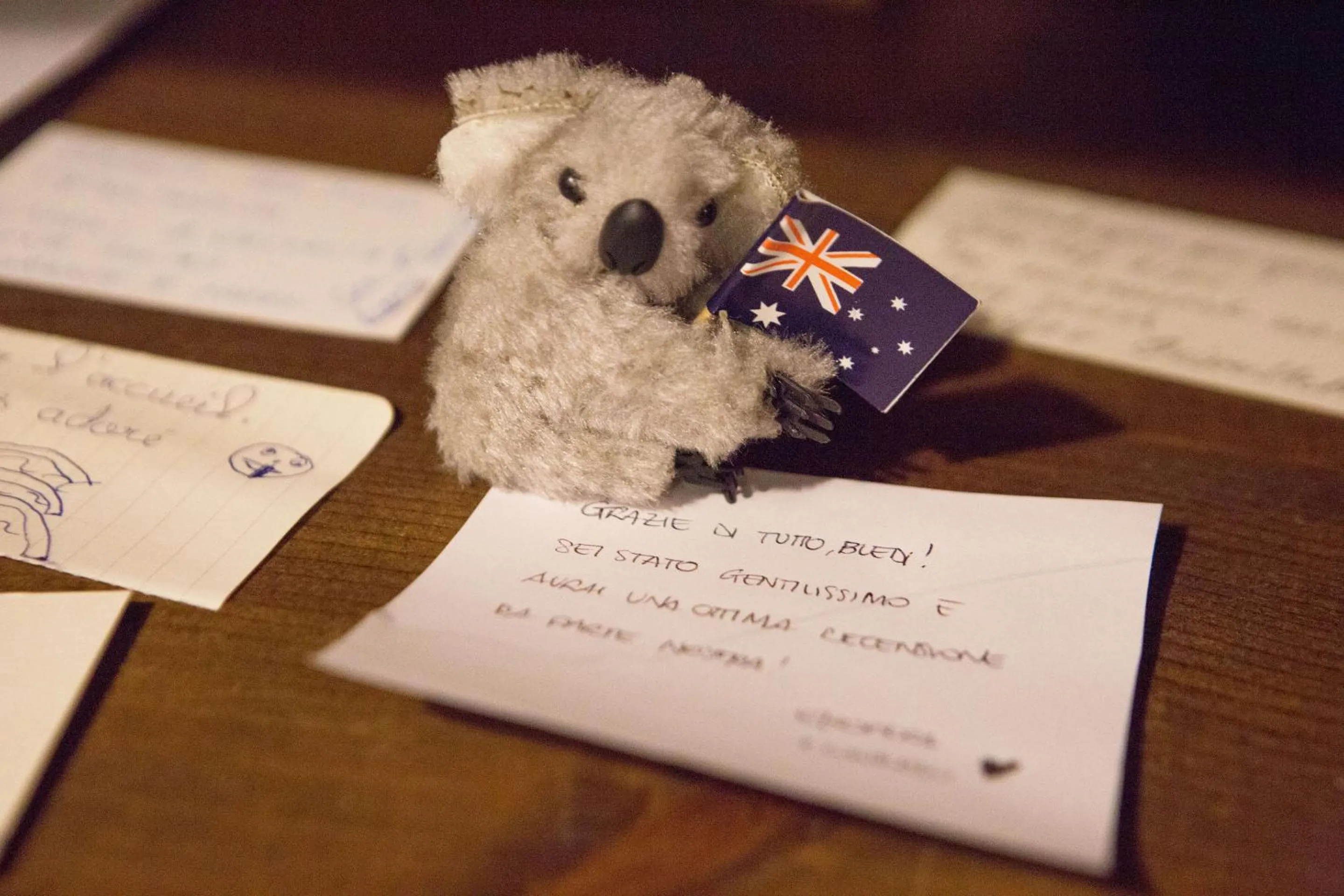 Decorative detail in Il Terrazzino sulla Cattedrale