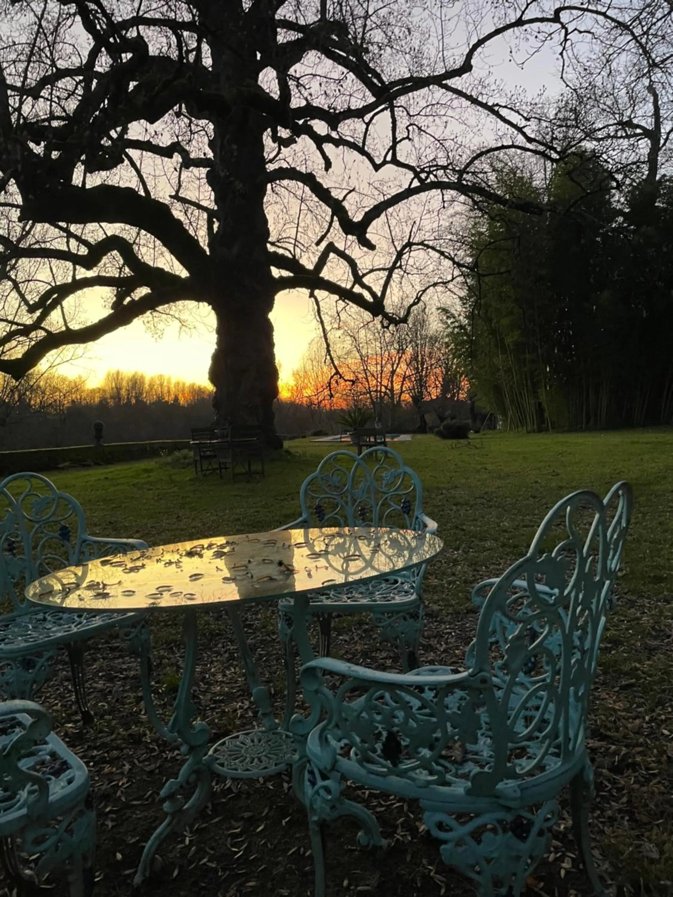 Natural landscape in La Rebière d'Or, B&B et Gîte