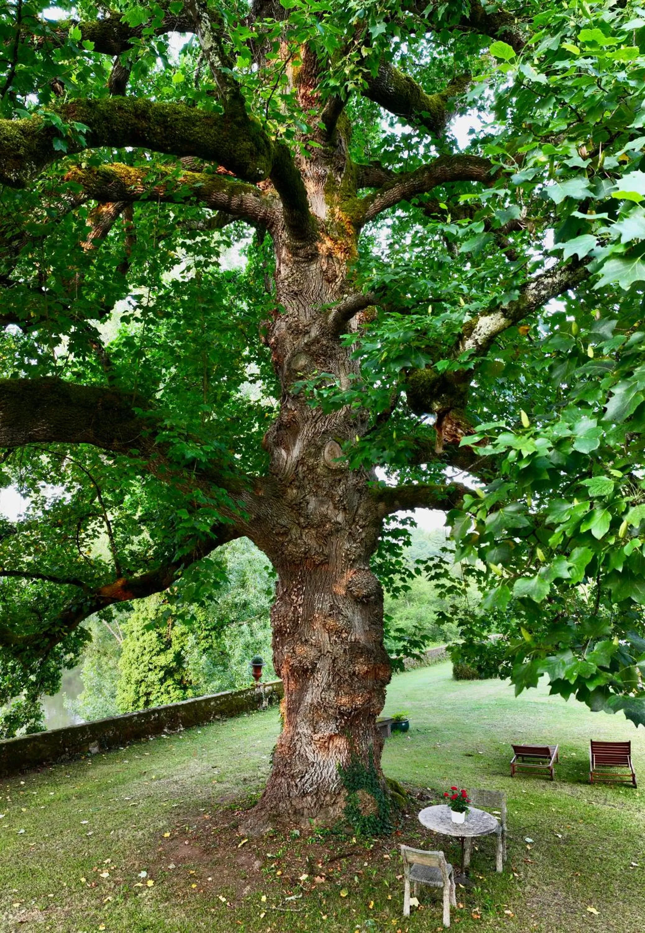 Natural landscape in La Rebière d'Or, B&B et Gîte