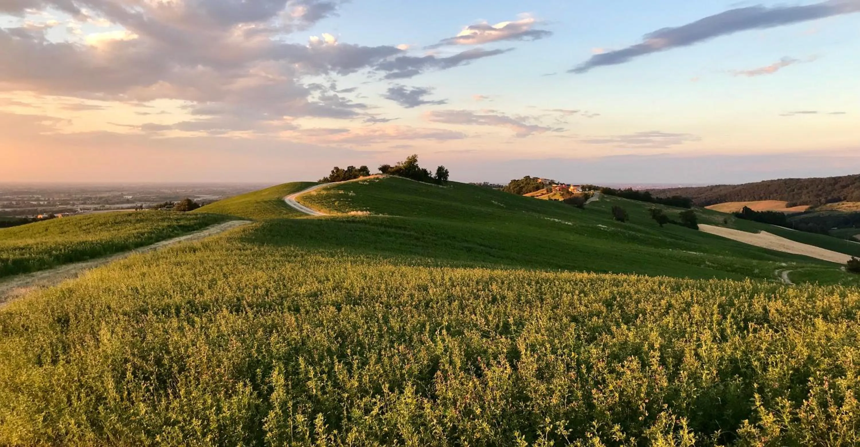 Other in B&B La Casa Del Sole