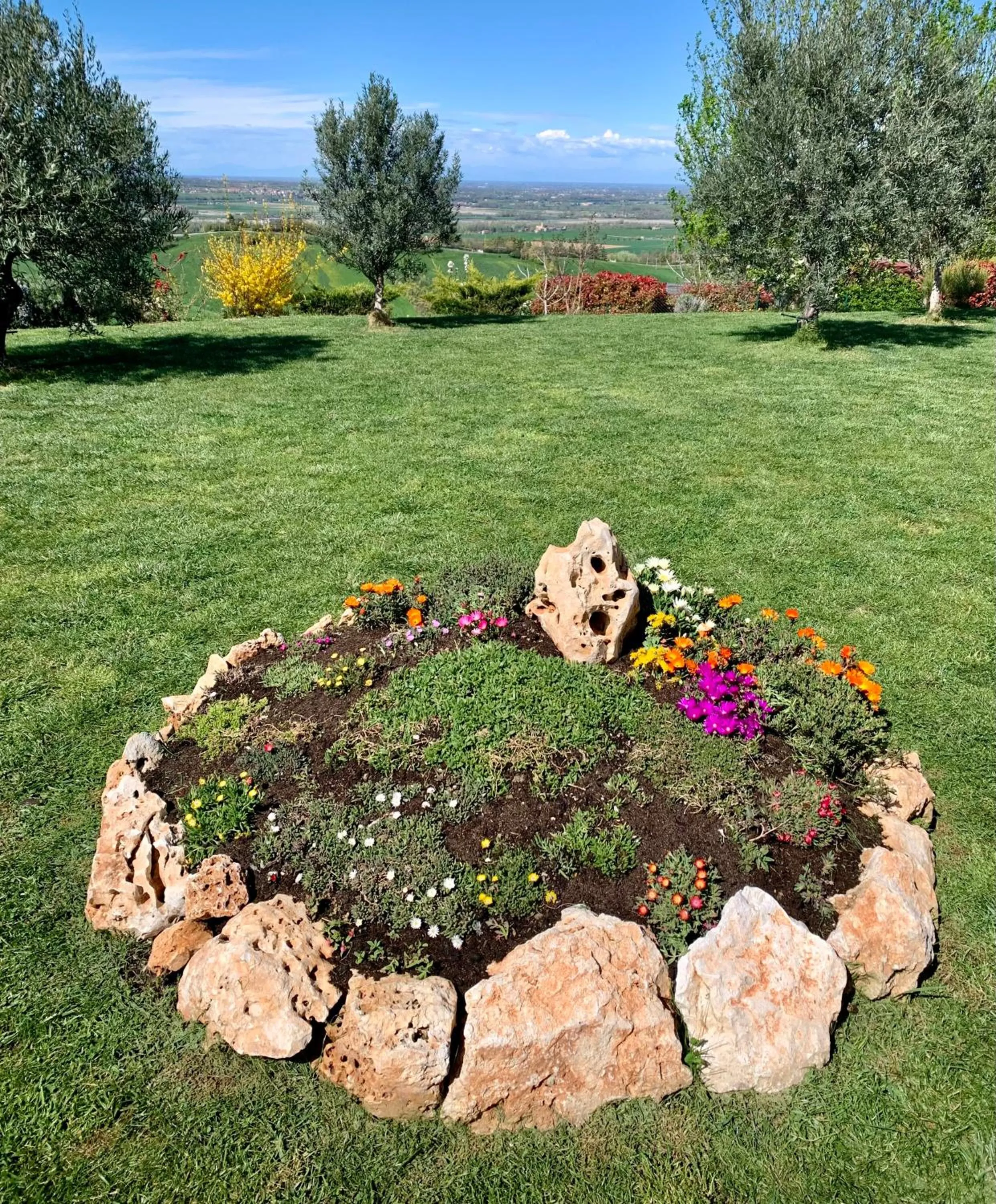 Garden in B&B La Casa Del Sole