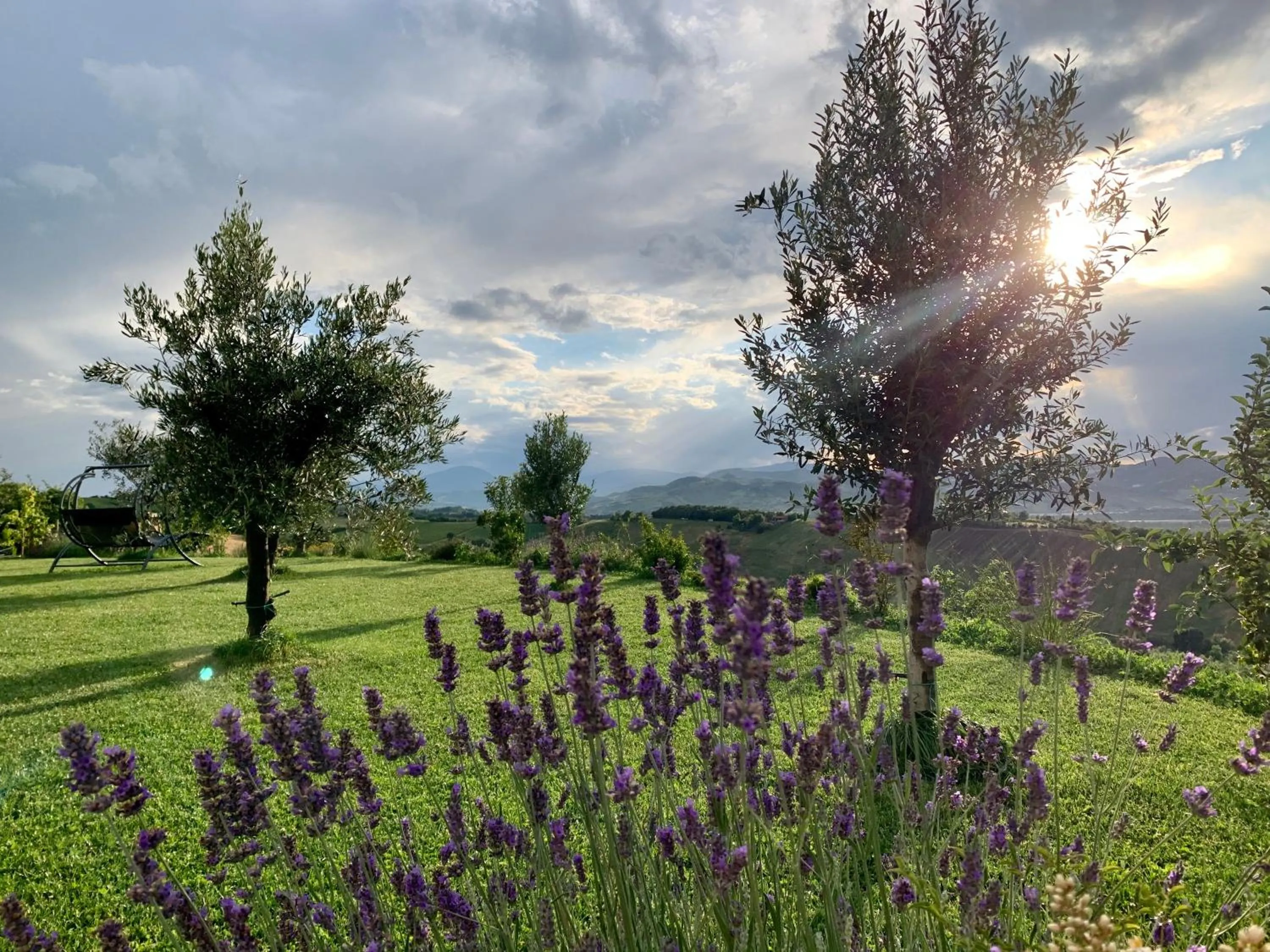 Garden in B&B La Casa Del Sole