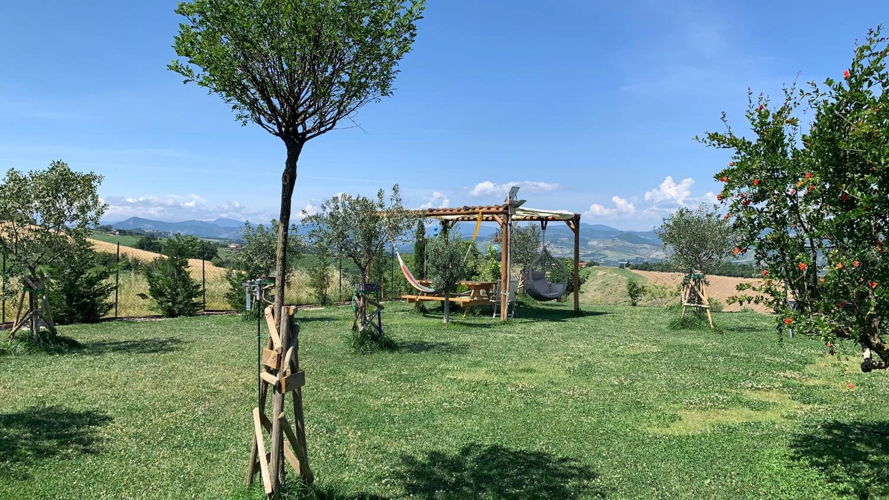 Garden in B&B La Casa Del Sole