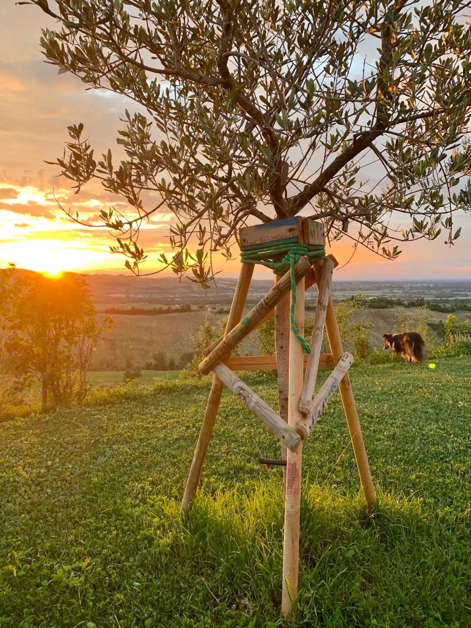 Garden in B&B La Casa Del Sole