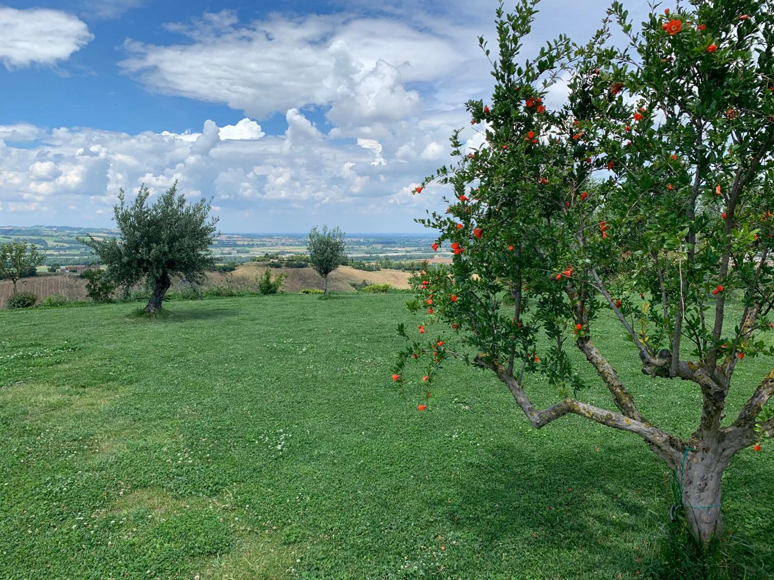 Garden in B&B La Casa Del Sole