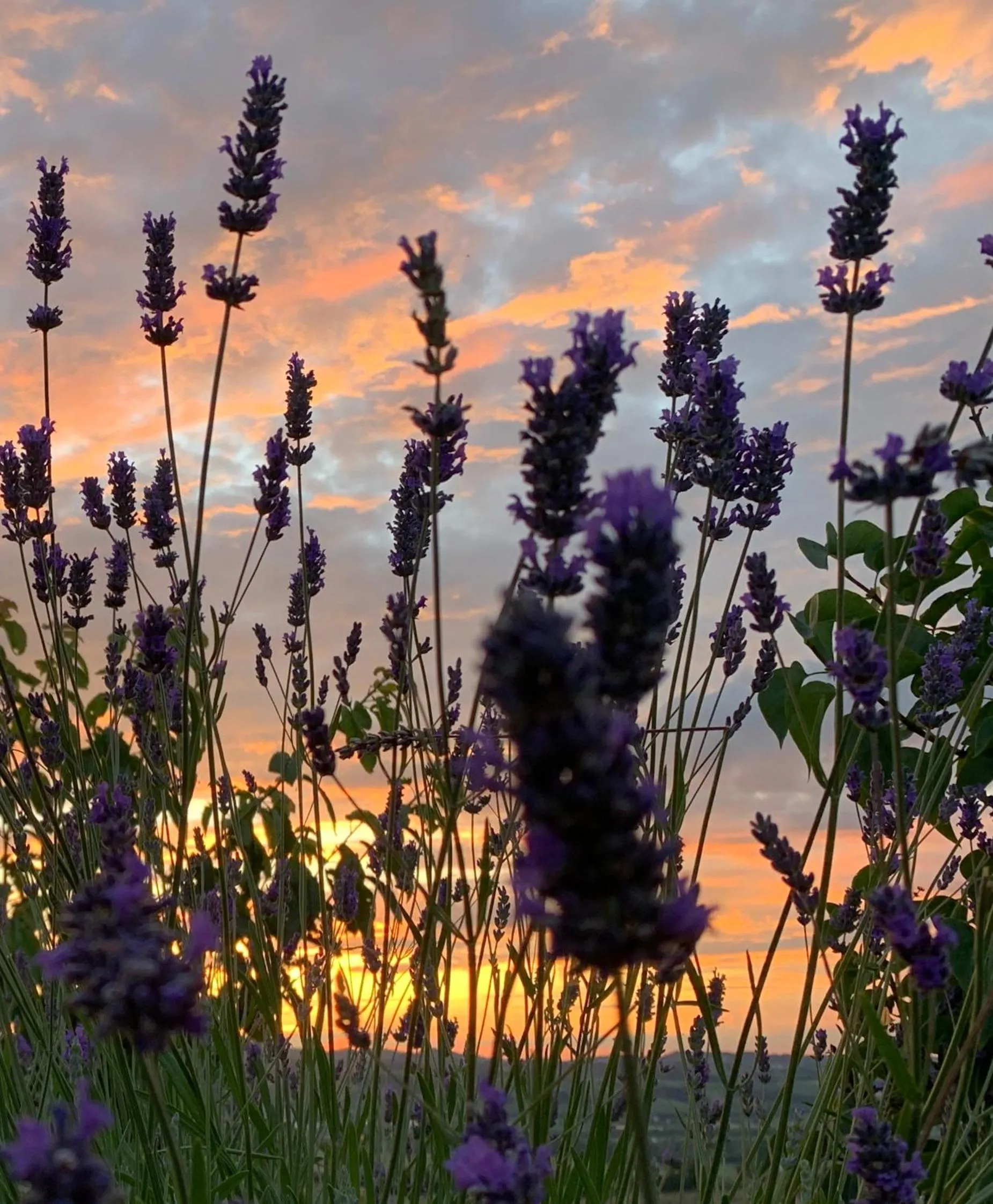 B&B La Casa Del Sole