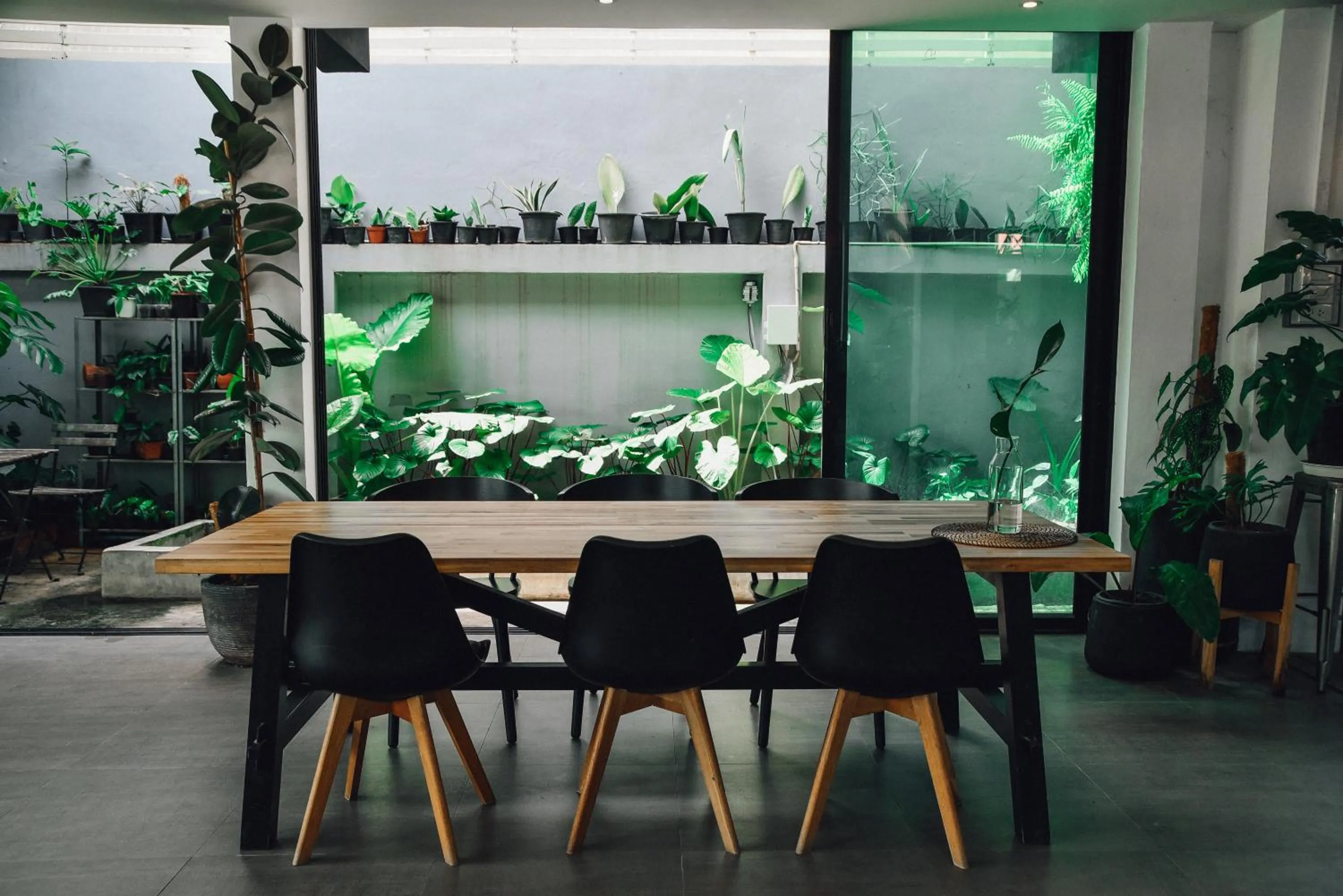 Restaurant/places to eat in P.U. Inn Resort