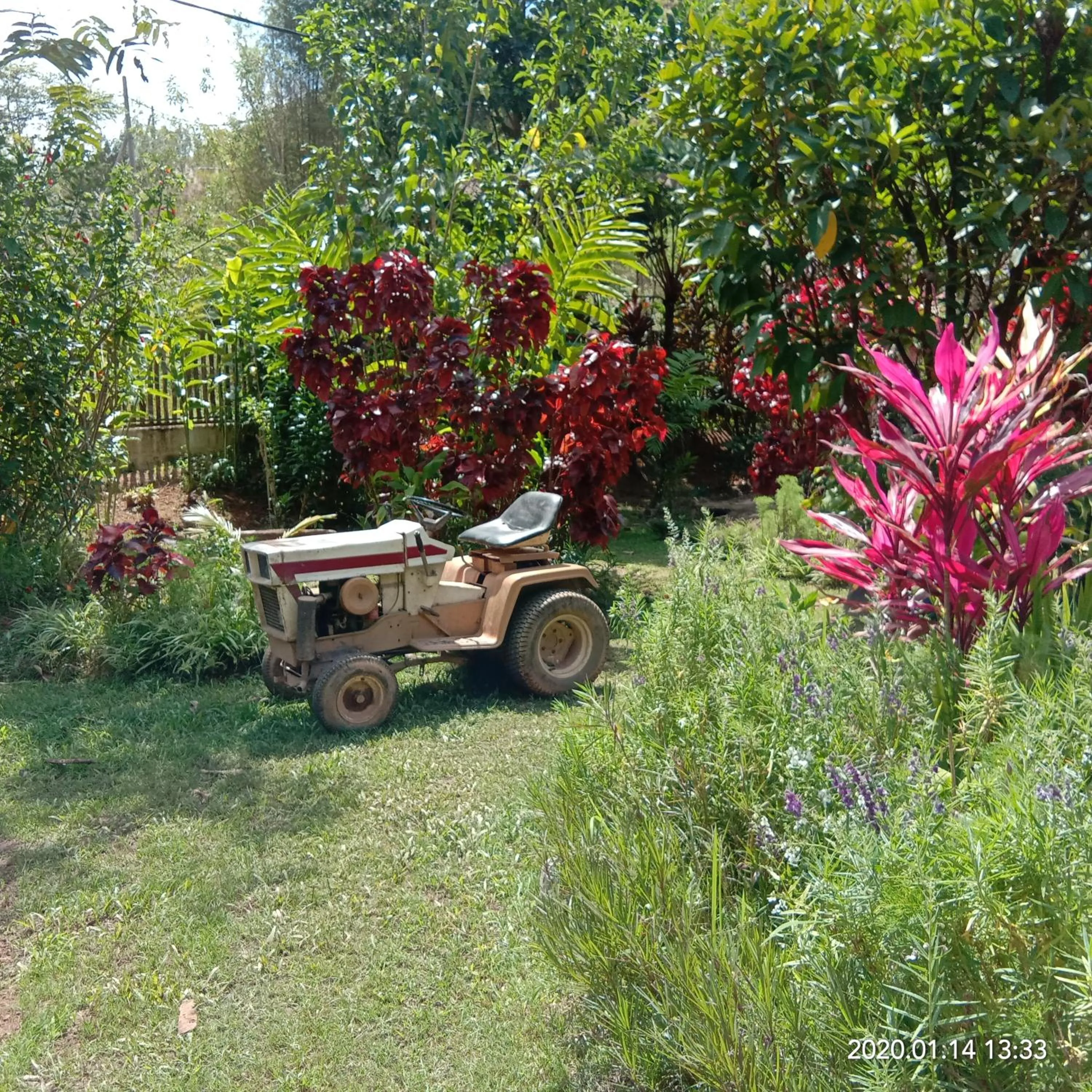 Garden in Moonriver Lodge