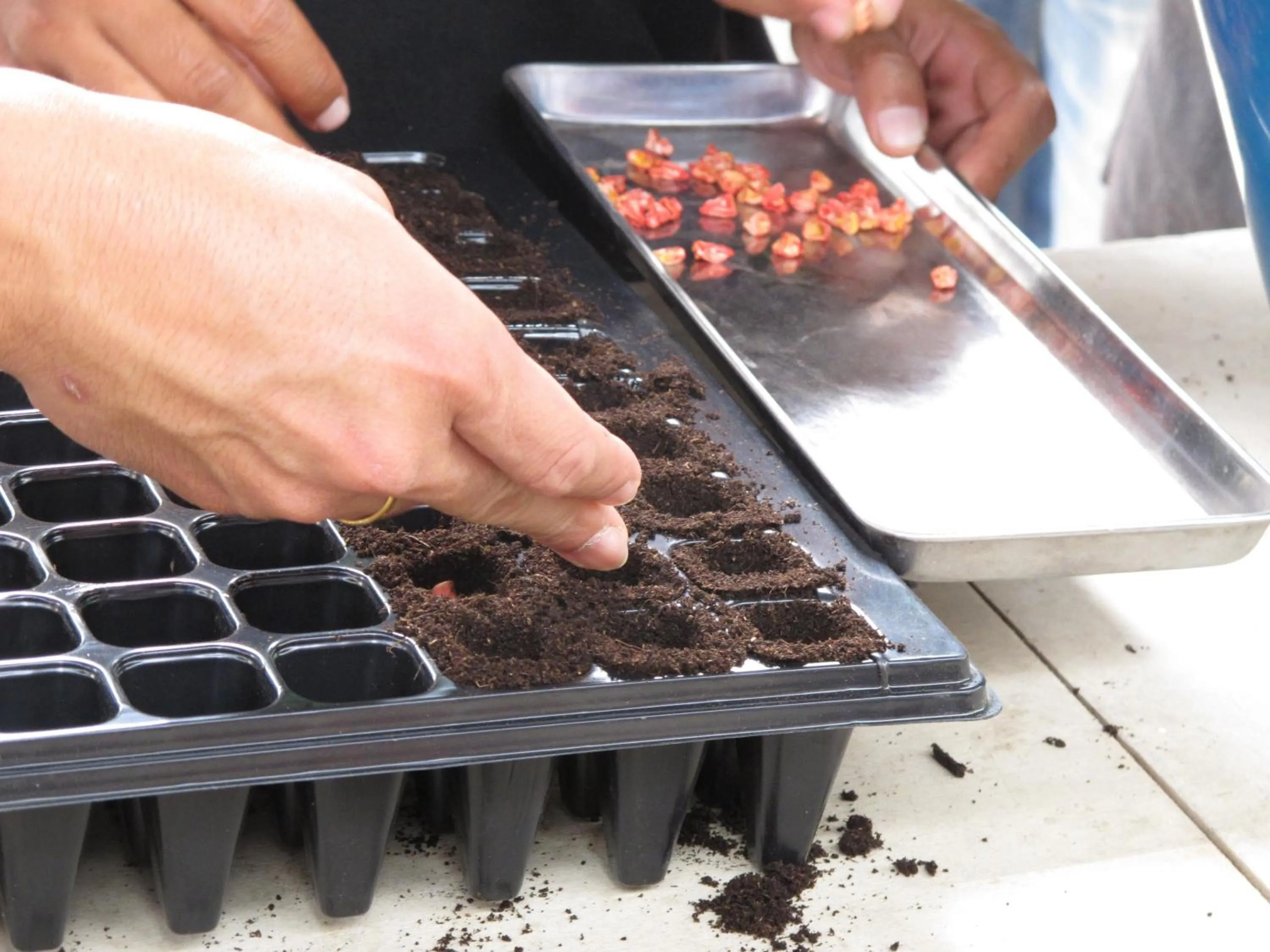 Other in Moonriver Lodge