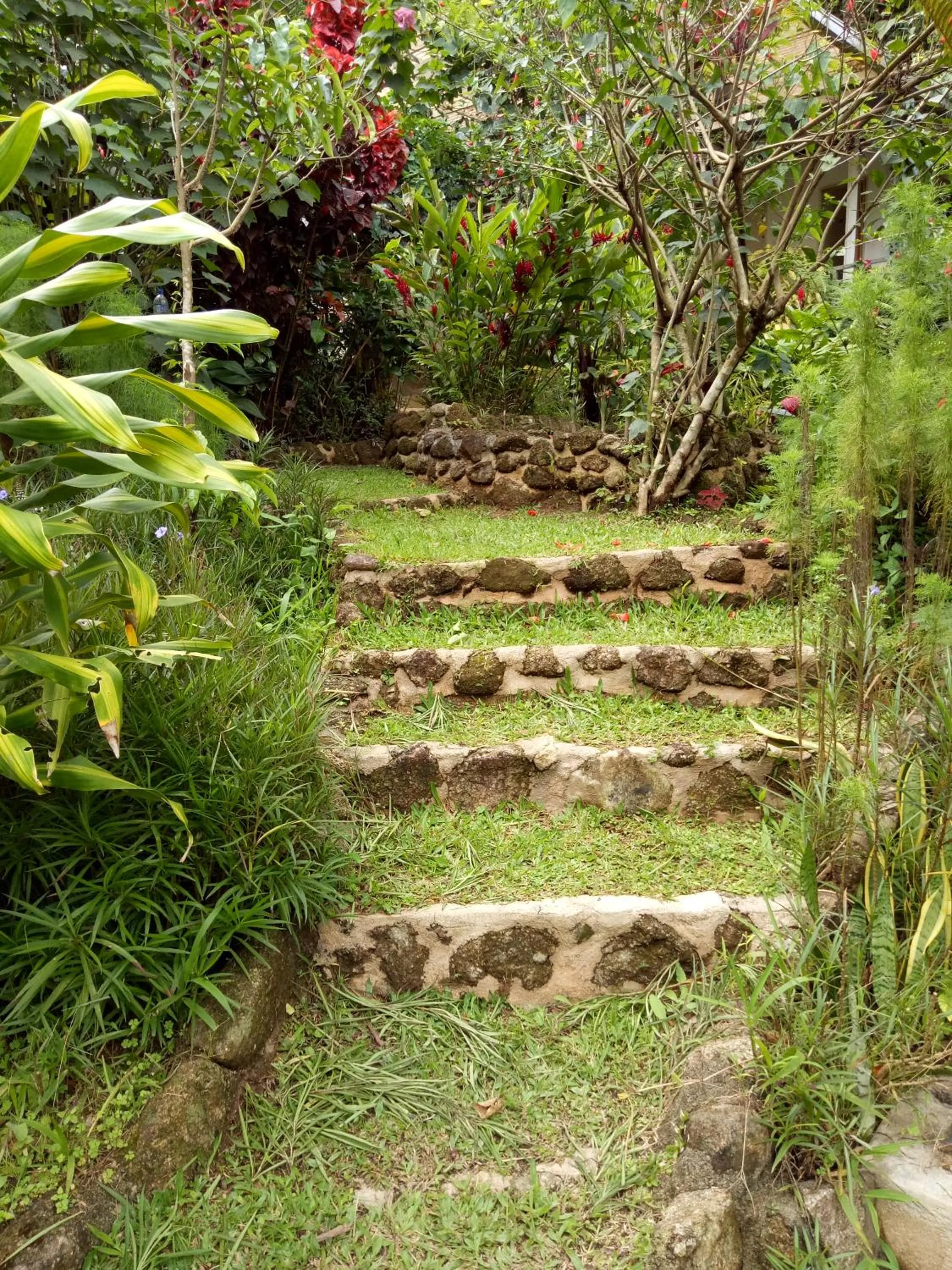 Garden in Moonriver Lodge