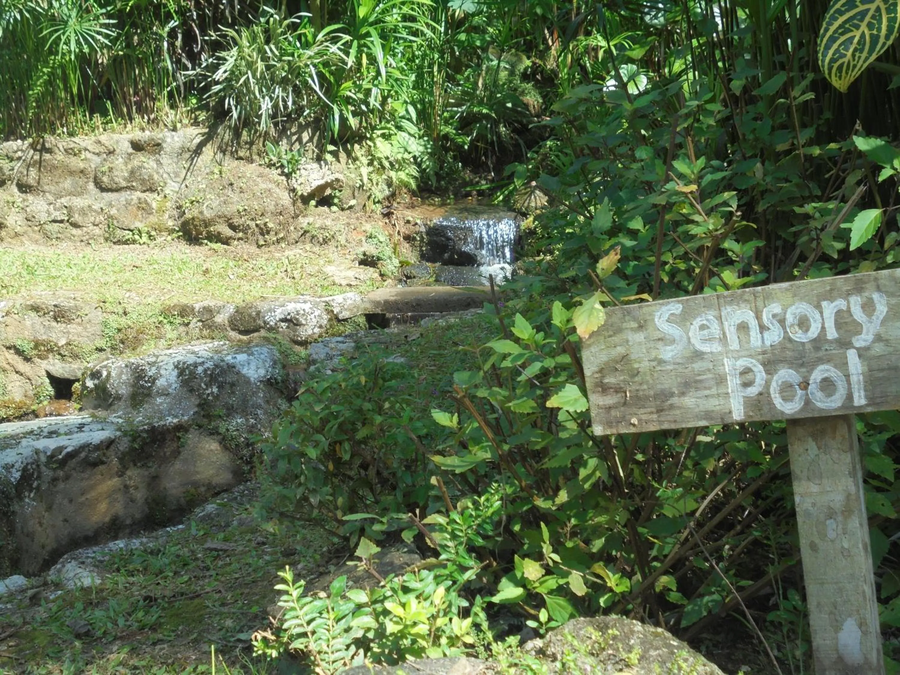 Natural landscape in Moonriver Lodge