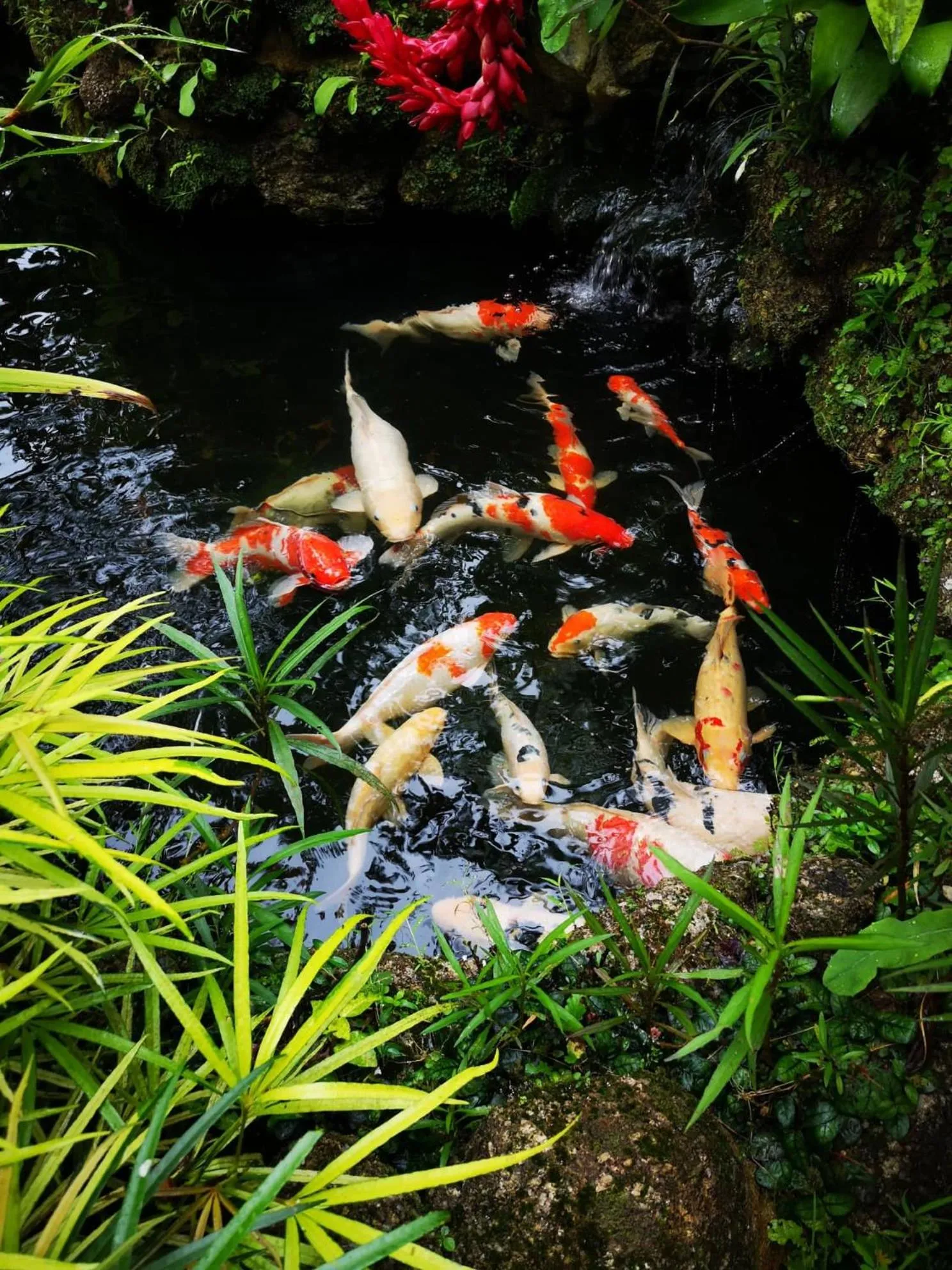 Day in Moonriver Lodge