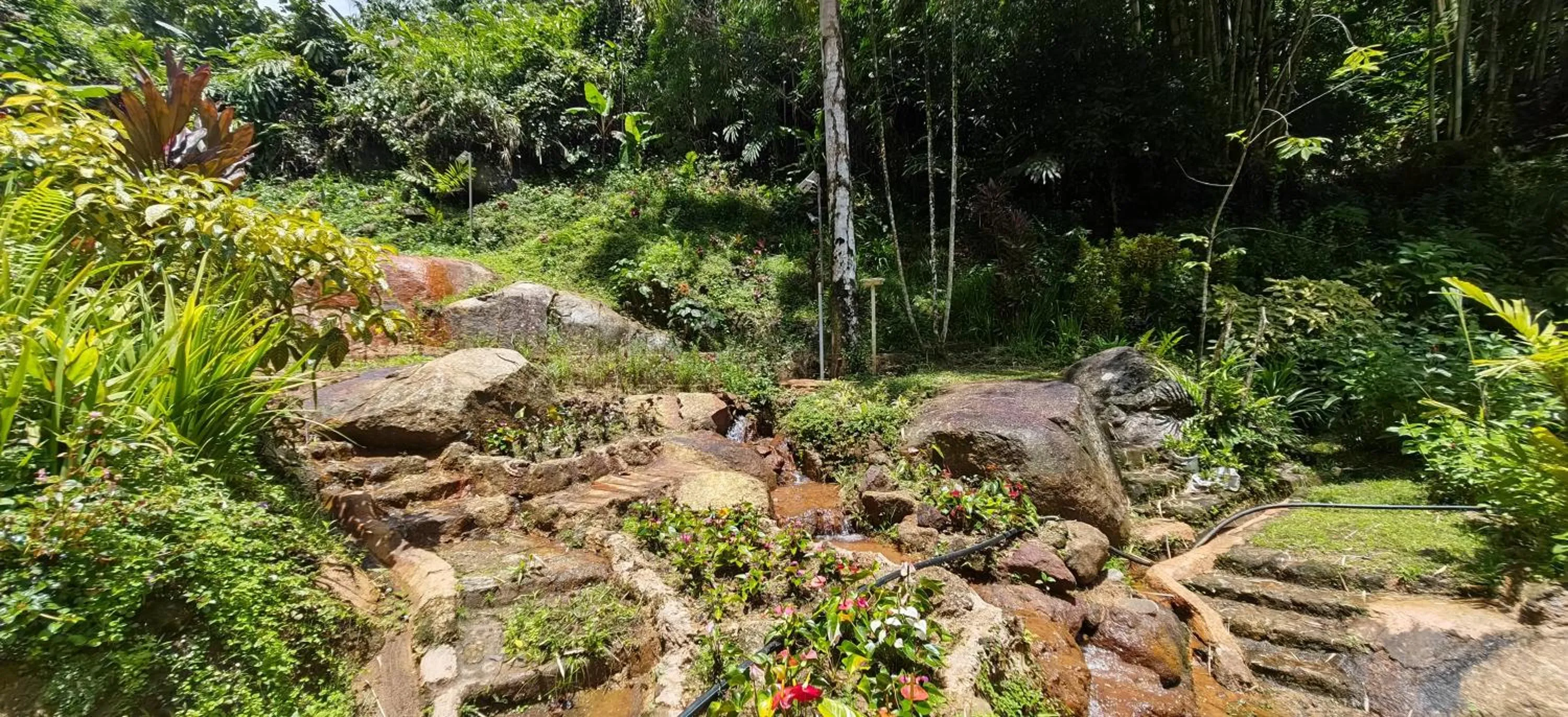 Spring in Moonriver Lodge