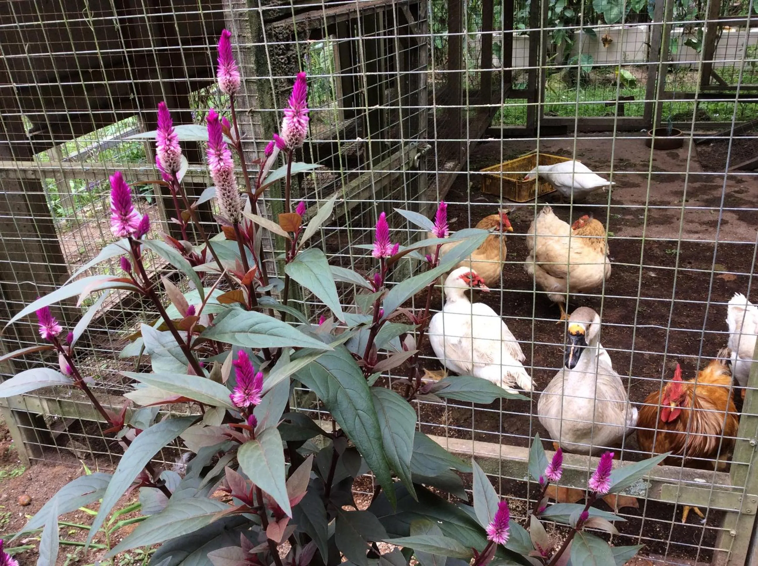 Activities in Moonriver Lodge