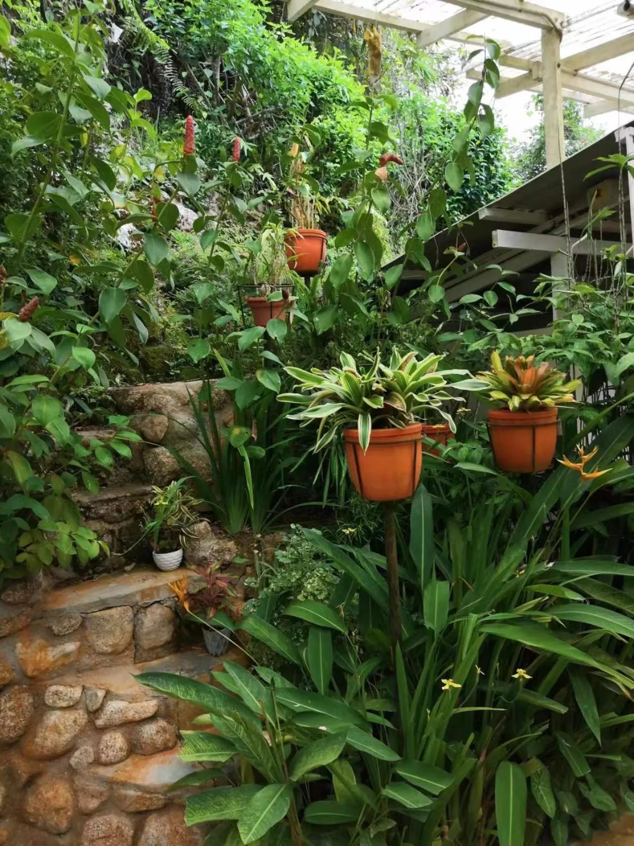 Garden in Moonriver Lodge