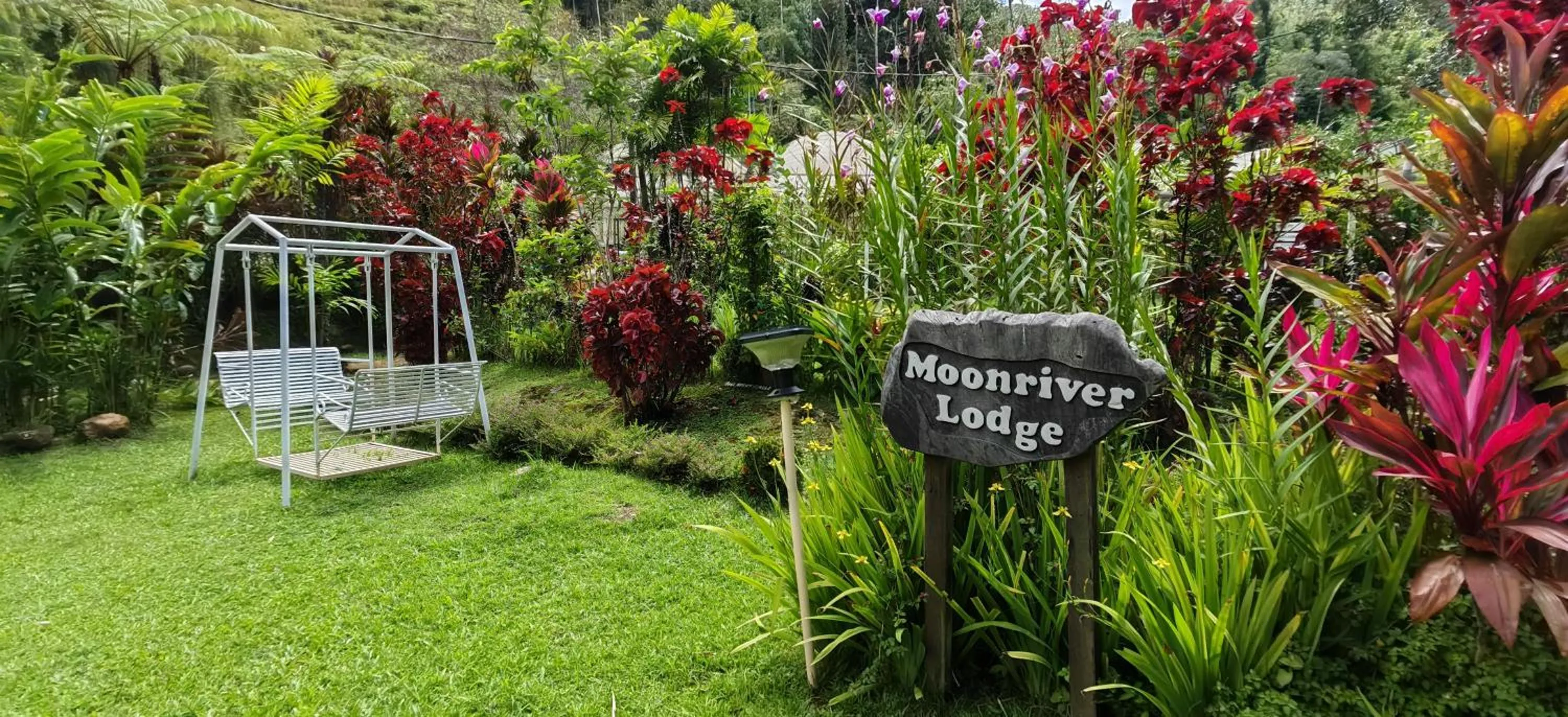 Garden in Moonriver Lodge