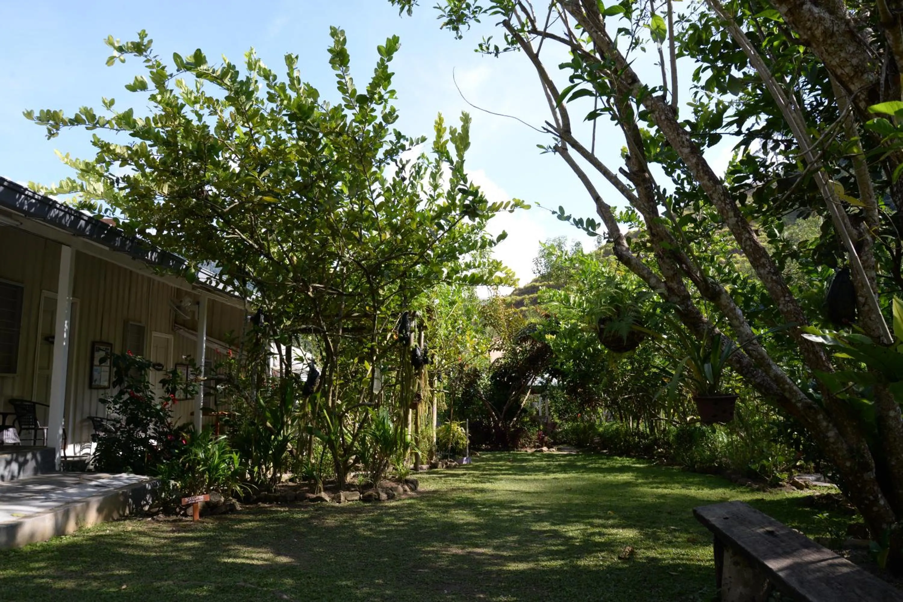 Day in Moonriver Lodge