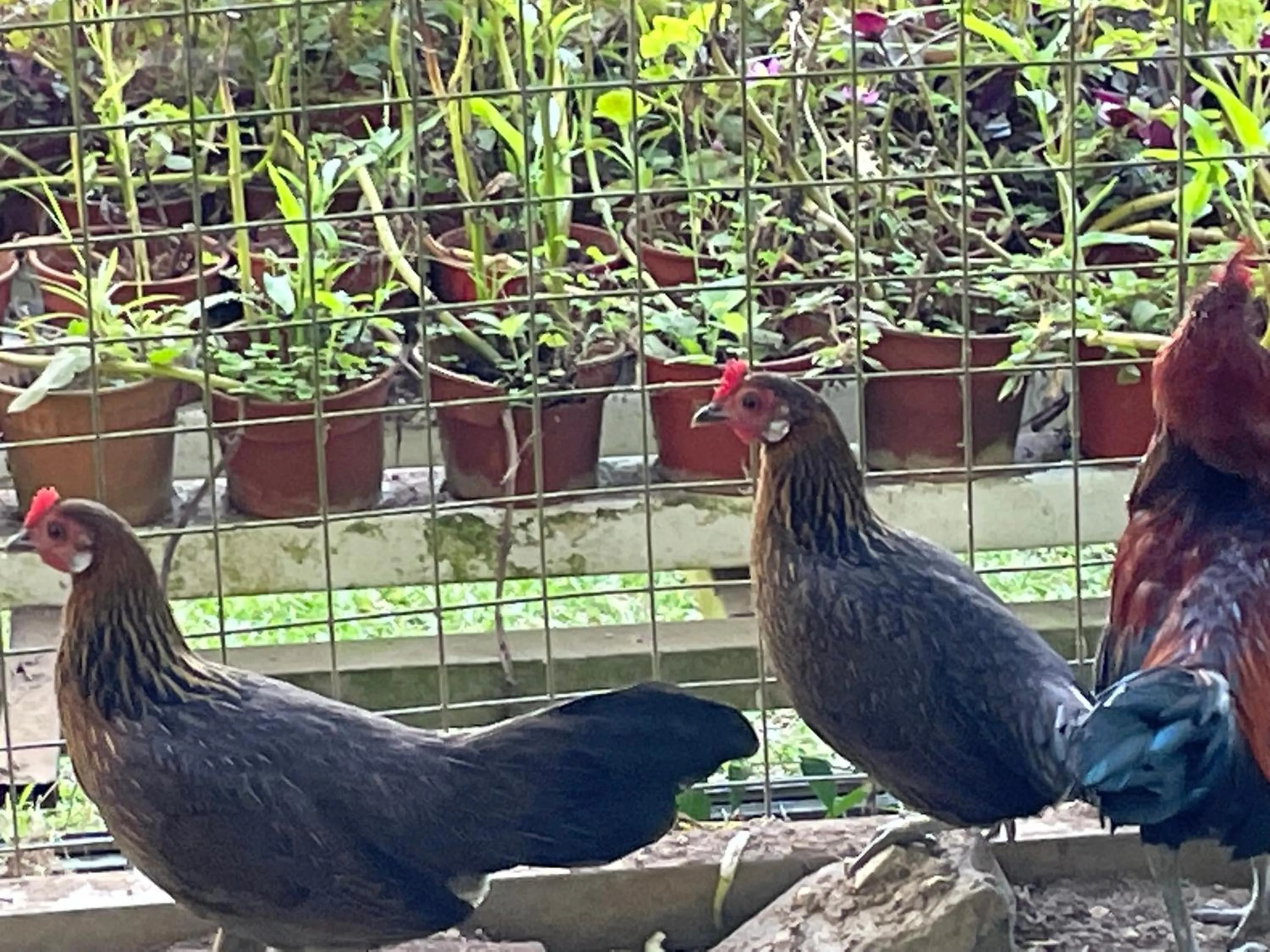 Day in Moonriver Lodge